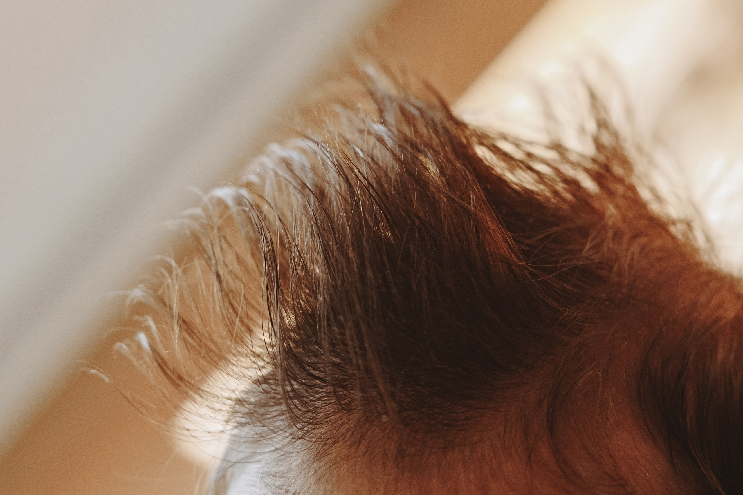 Фотосесия за новородено. Фотограф Ирина Йотова