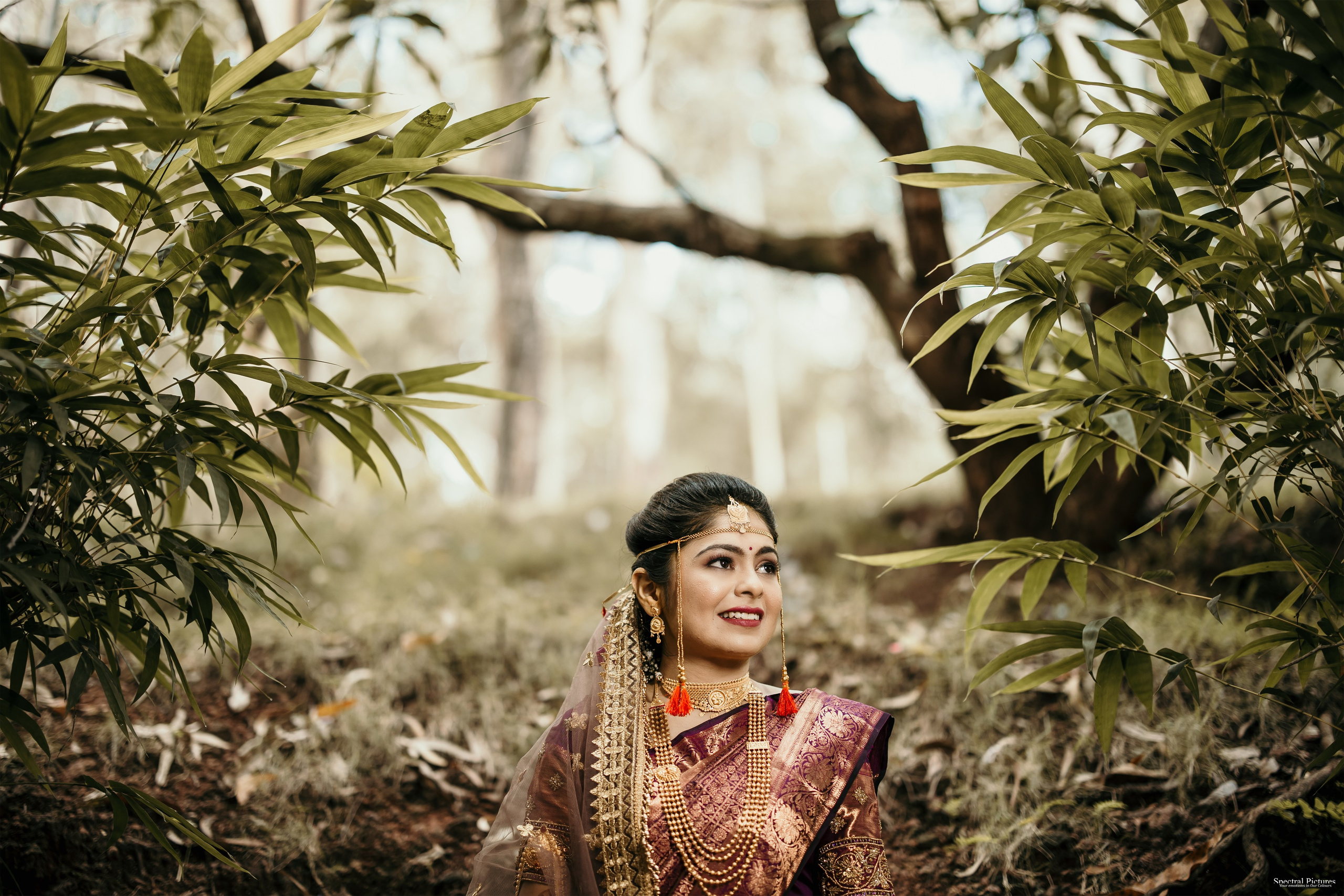 Purva & Tarun | Wedding