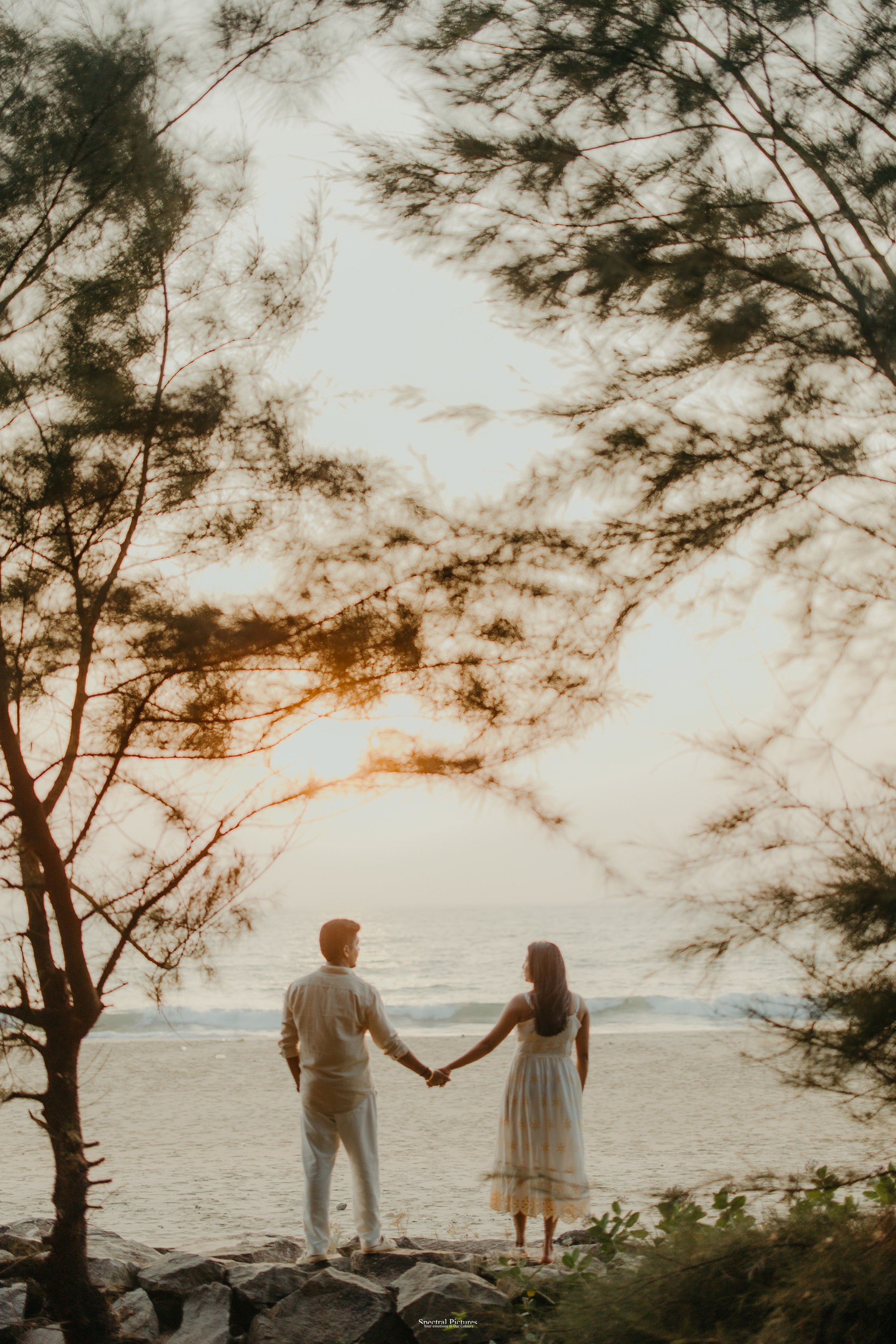 Raghav & Apoorva Pre-wedding