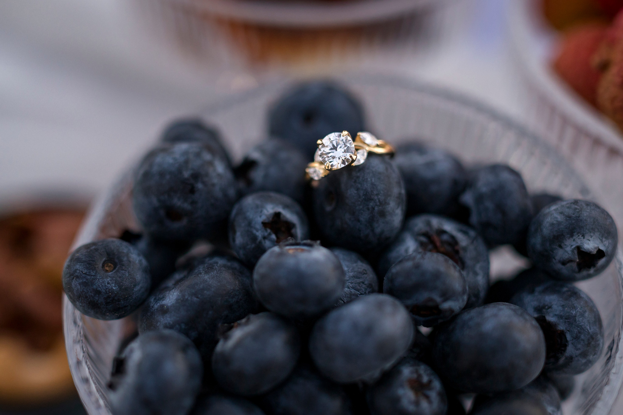 Save the Date & Proposal. AMIR BUCHNIK PHOTOGRAPHER