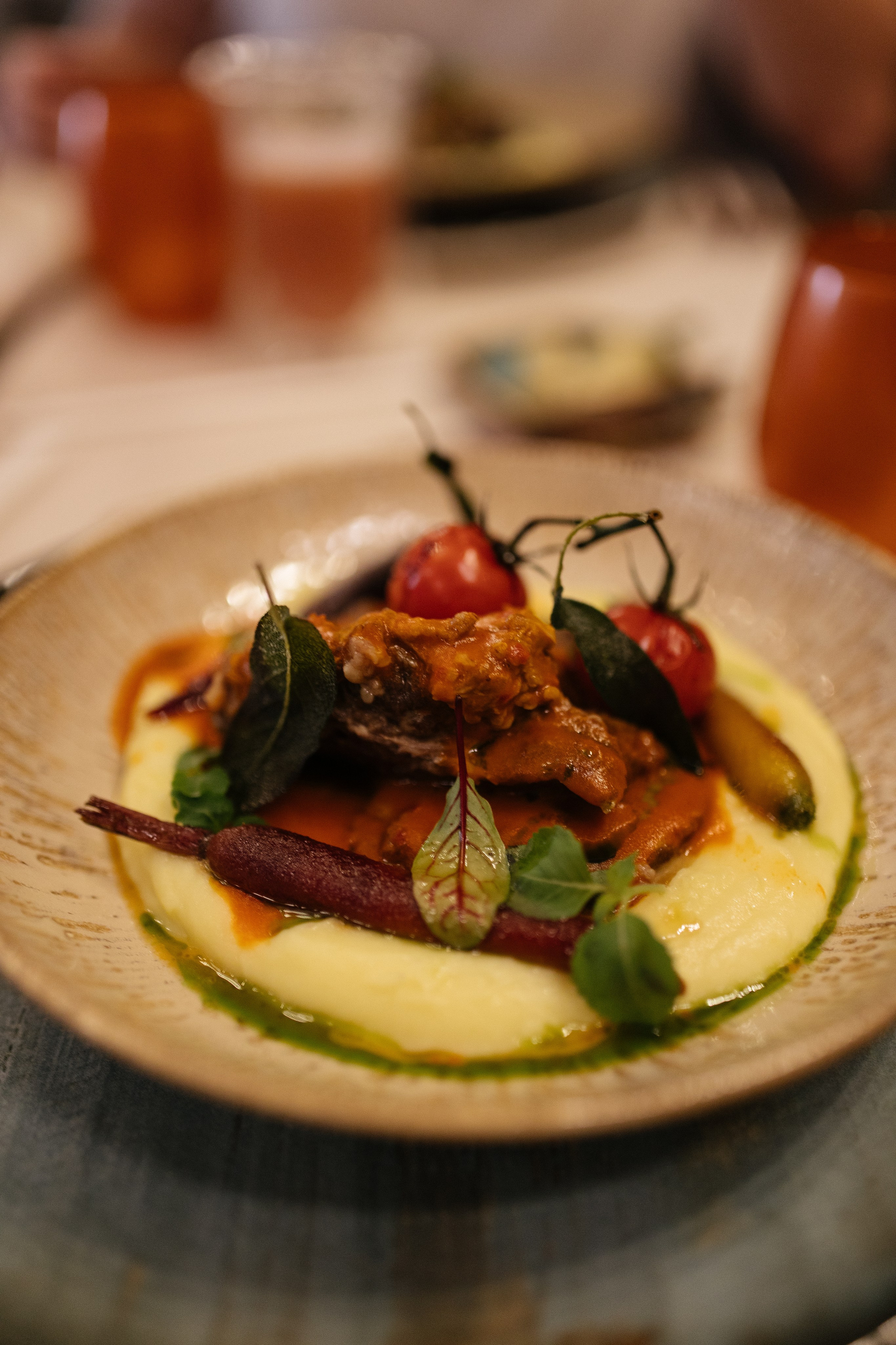 Casa Timis. Patricia Morenci — Mountain Adventures for the Wild at Heart