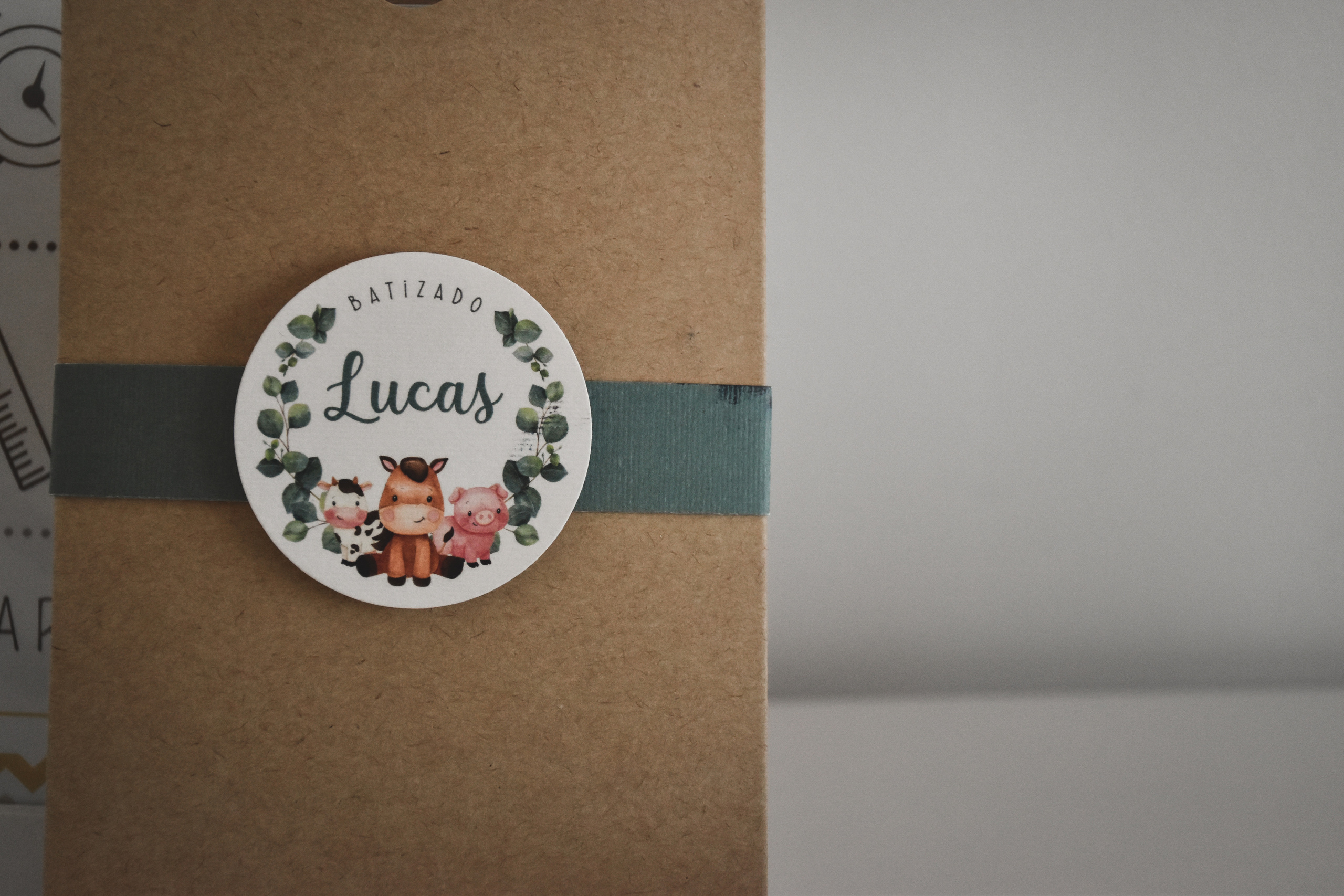 Batizado. Niaferreiraphotography