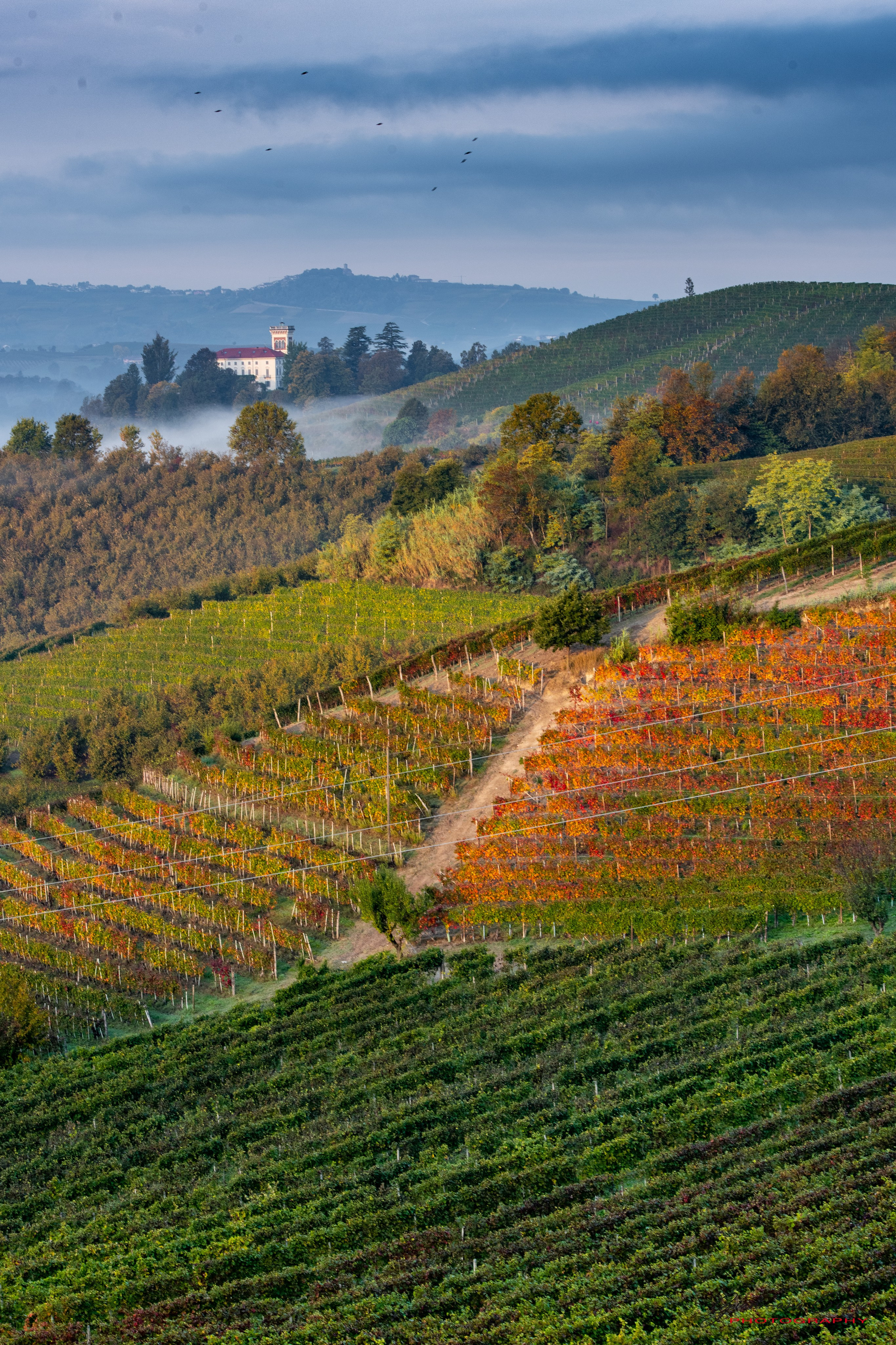 Langhe. “Gianmaria Coscia fotografo per passione”