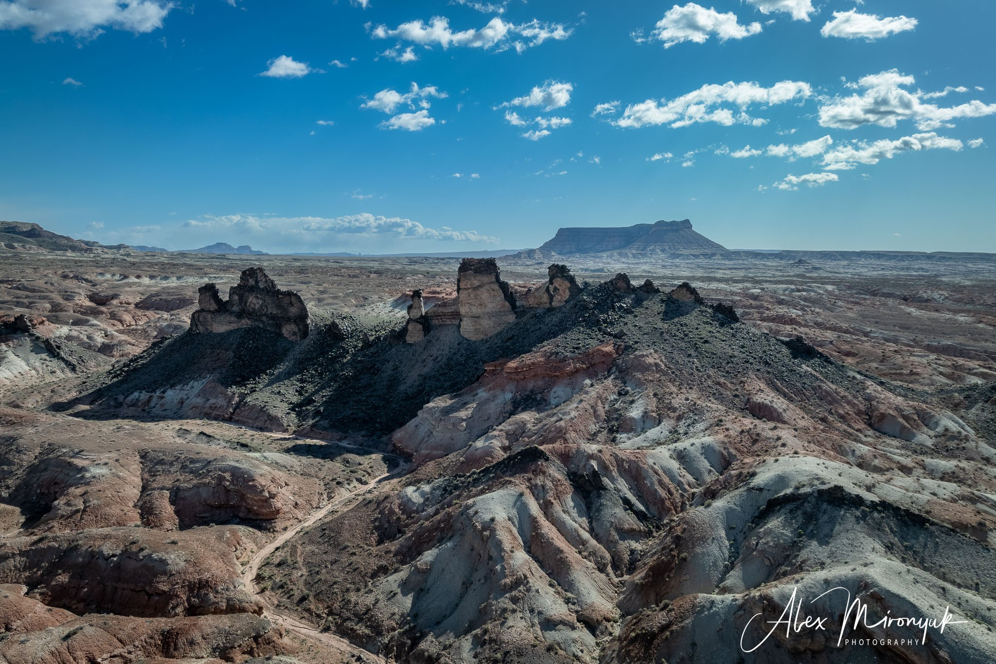 Eagle’s View: The American Southwest. Pet, Senior, Landscape, portrait studio, photographer in Miami and Sou