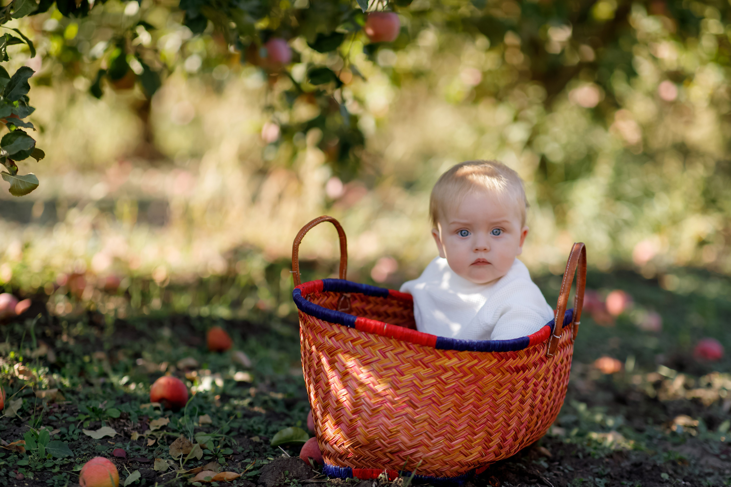 Family photo Mihaela Ungureanu. N.D.photograph - fotograf de familie și portrete în Republica Moldova