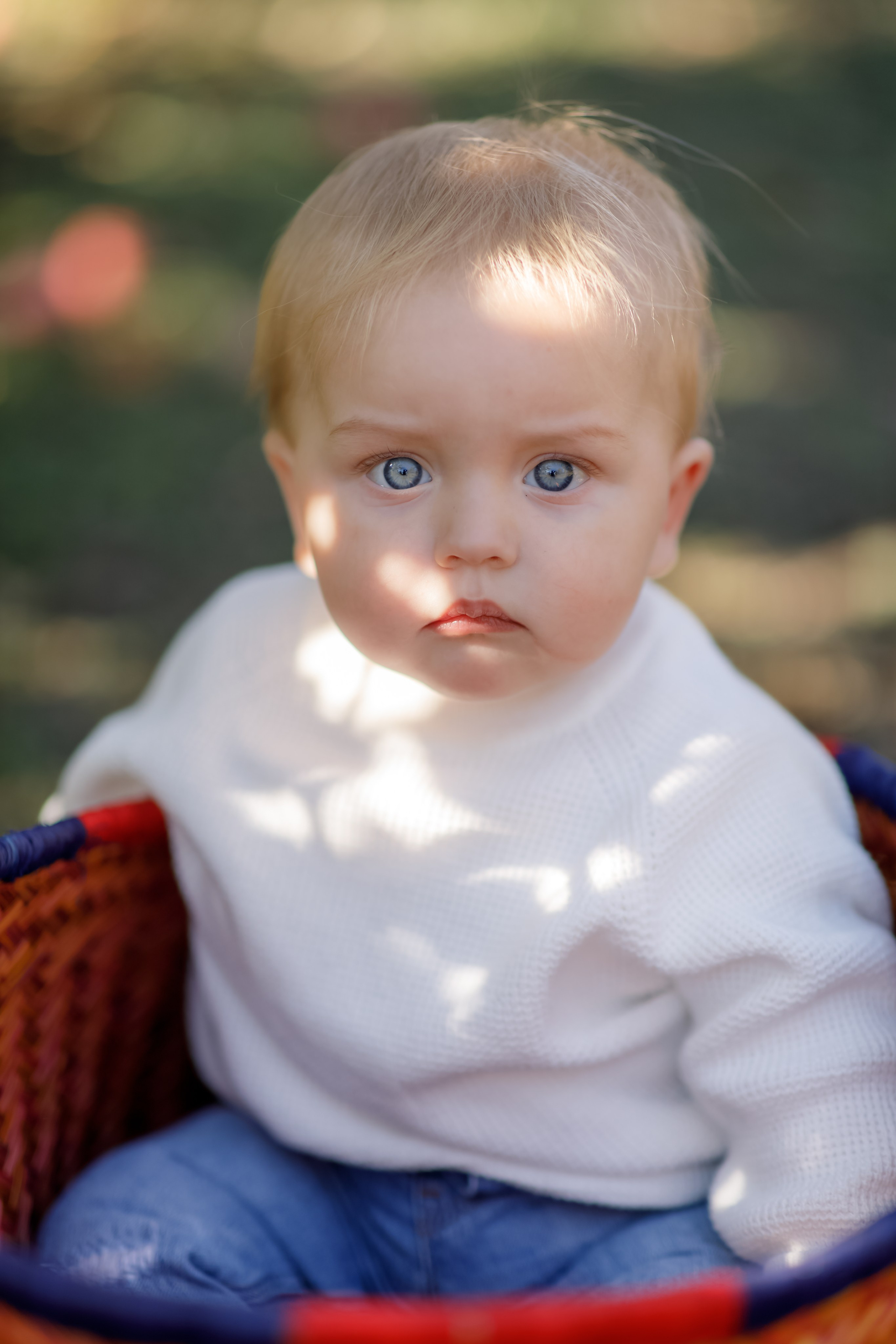 Family photo Mihaela Ungureanu. N.D.photograph - fotograf de familie și portrete în Republica Moldova