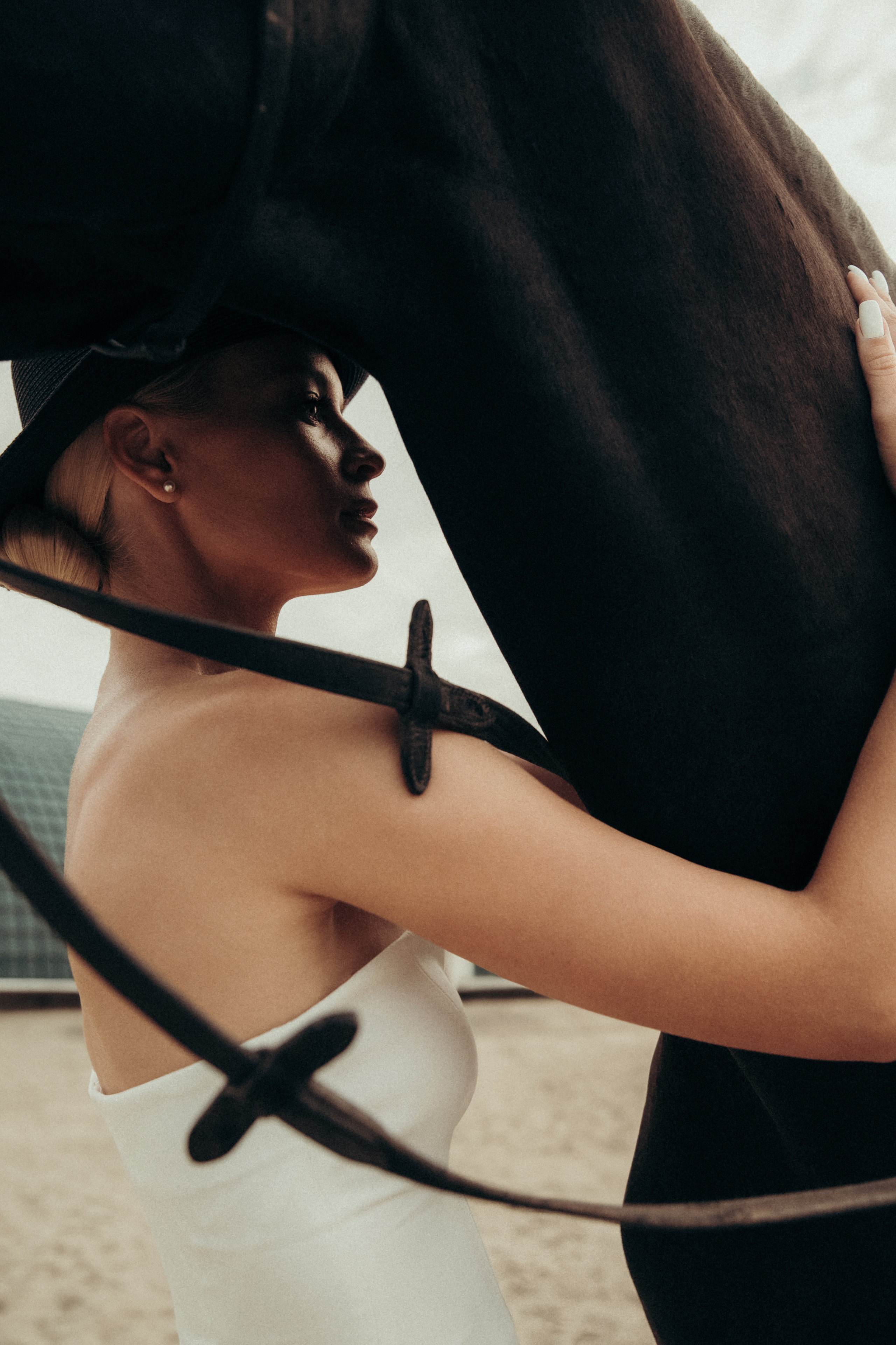 Horse & Rider Photoshoots in Boston & New England