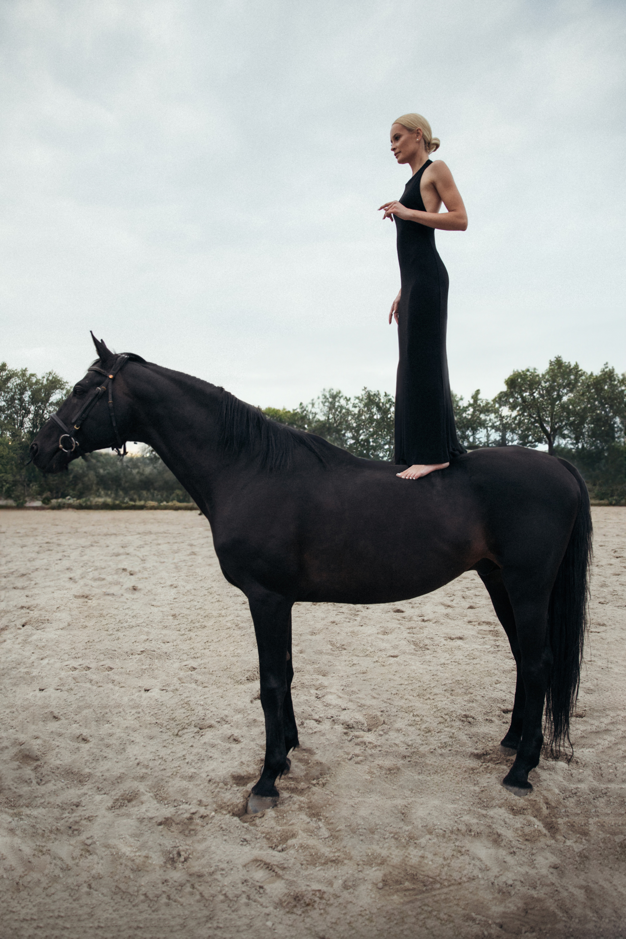 Horse & Rider Photoshoots in Boston & New England