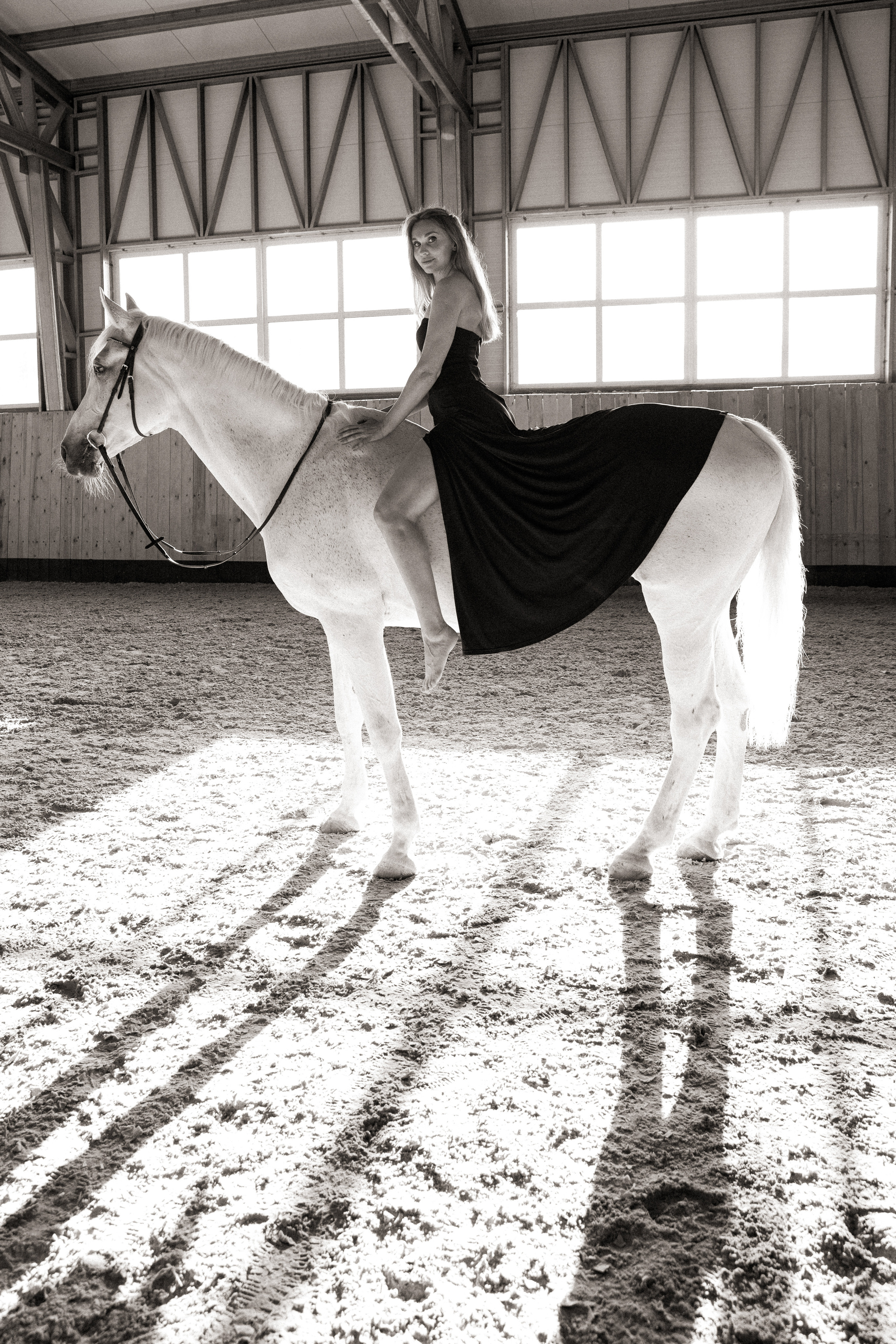 Horse & Rider Photoshoots in Boston & New England
