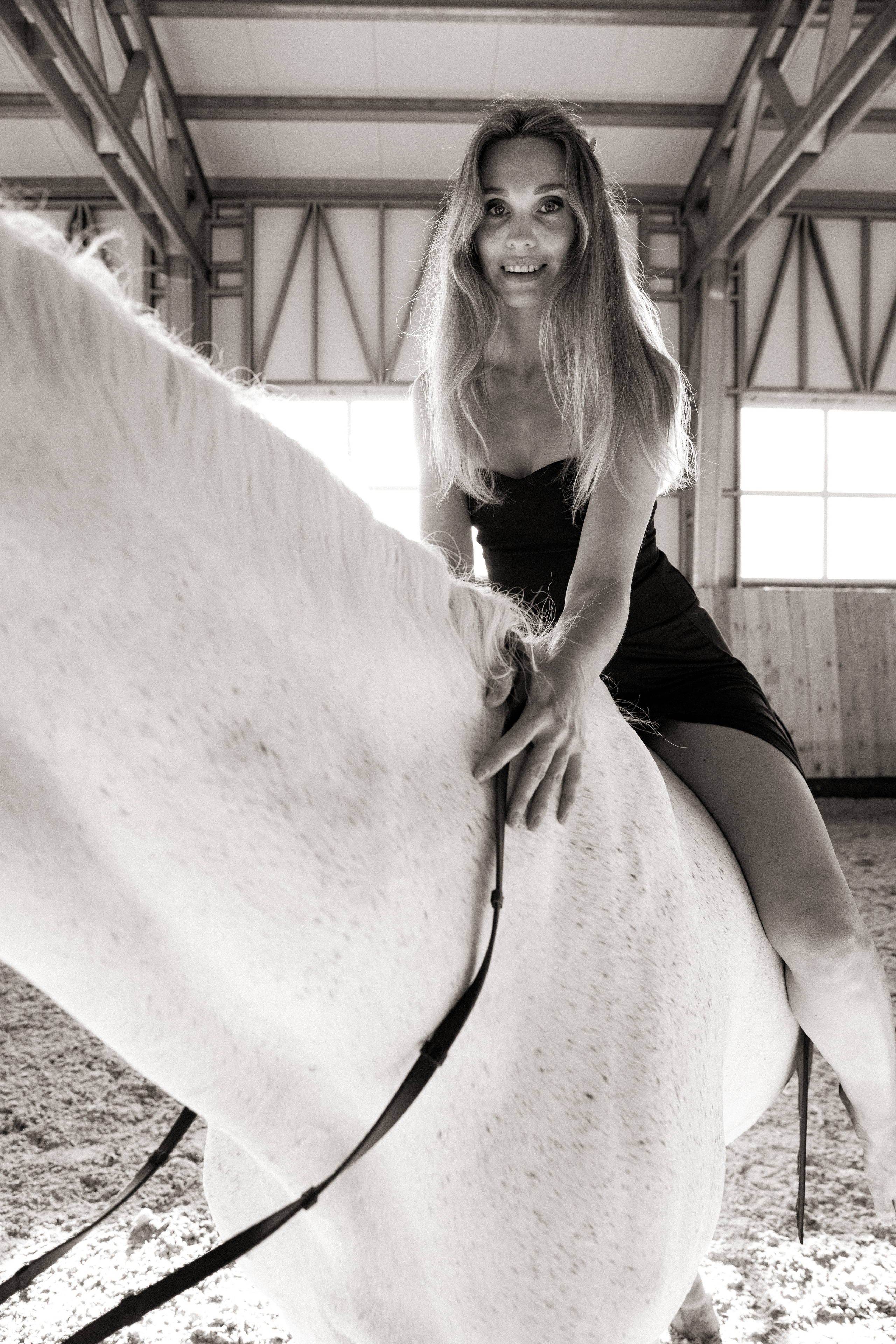 Horse & Rider Photoshoots in Boston & New England