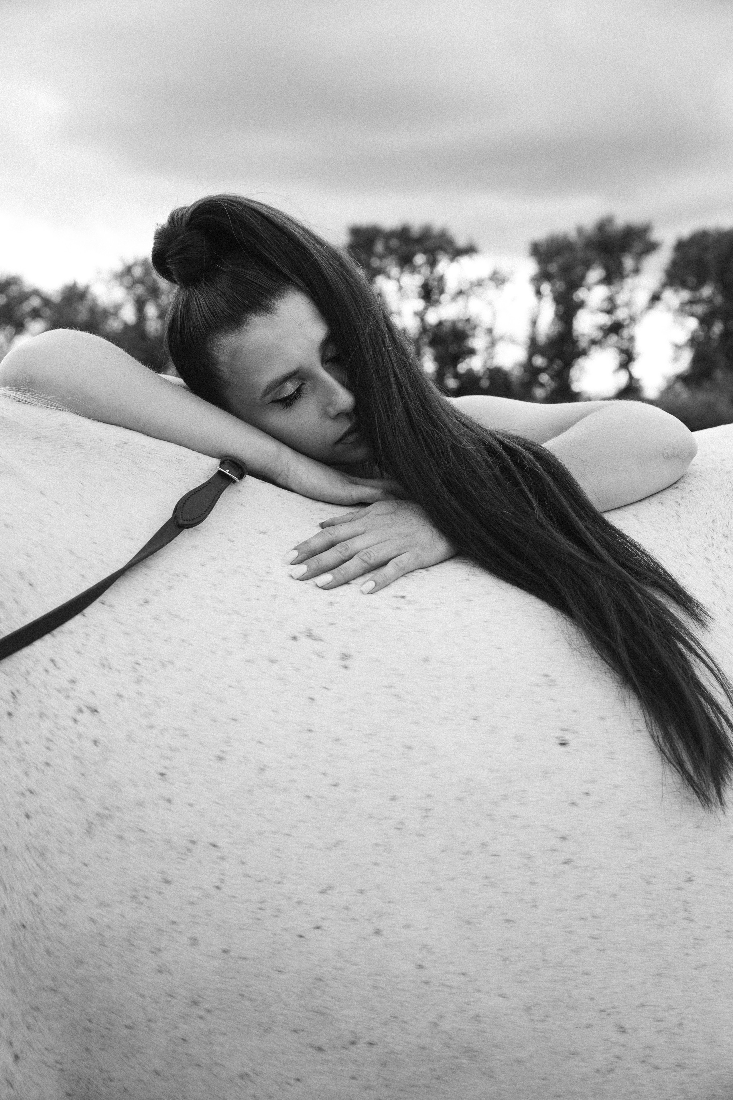 Horse & Rider Photoshoots in Boston & New England