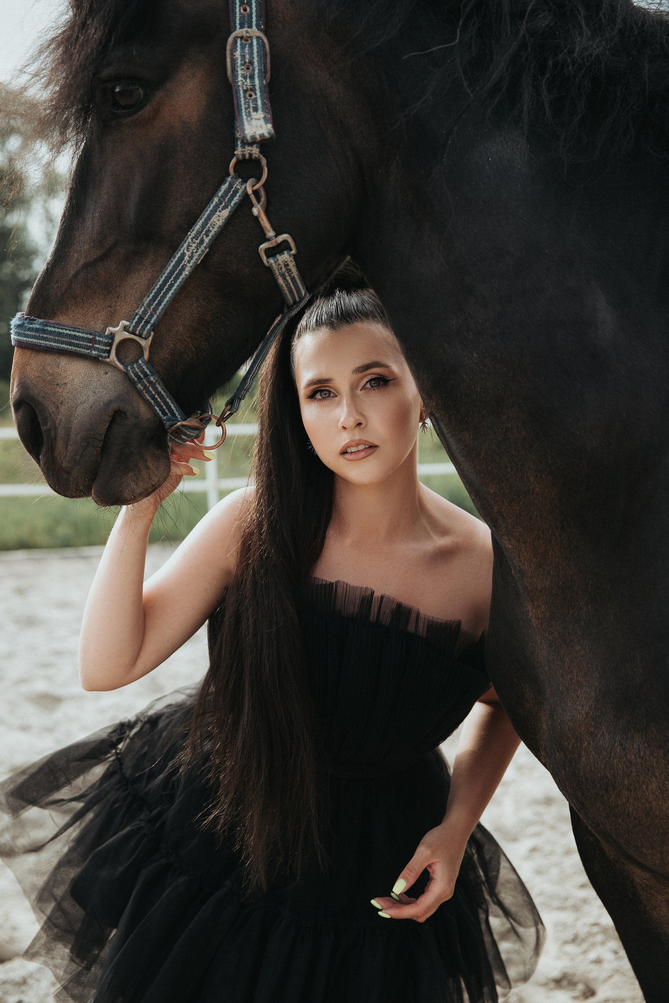 Horse & Rider Photoshoots in Boston & New England
