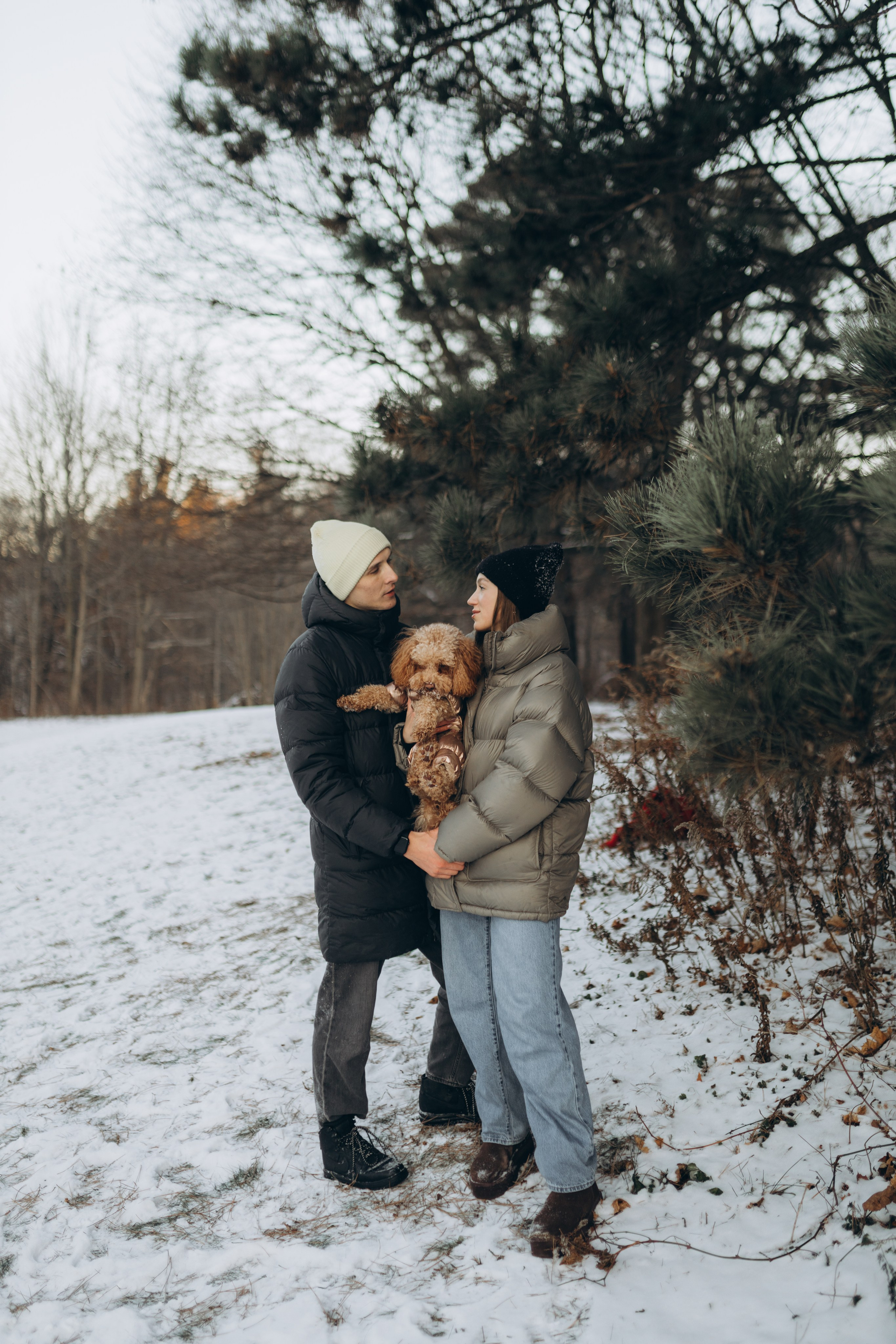 Winter magic. Chernenko.photography