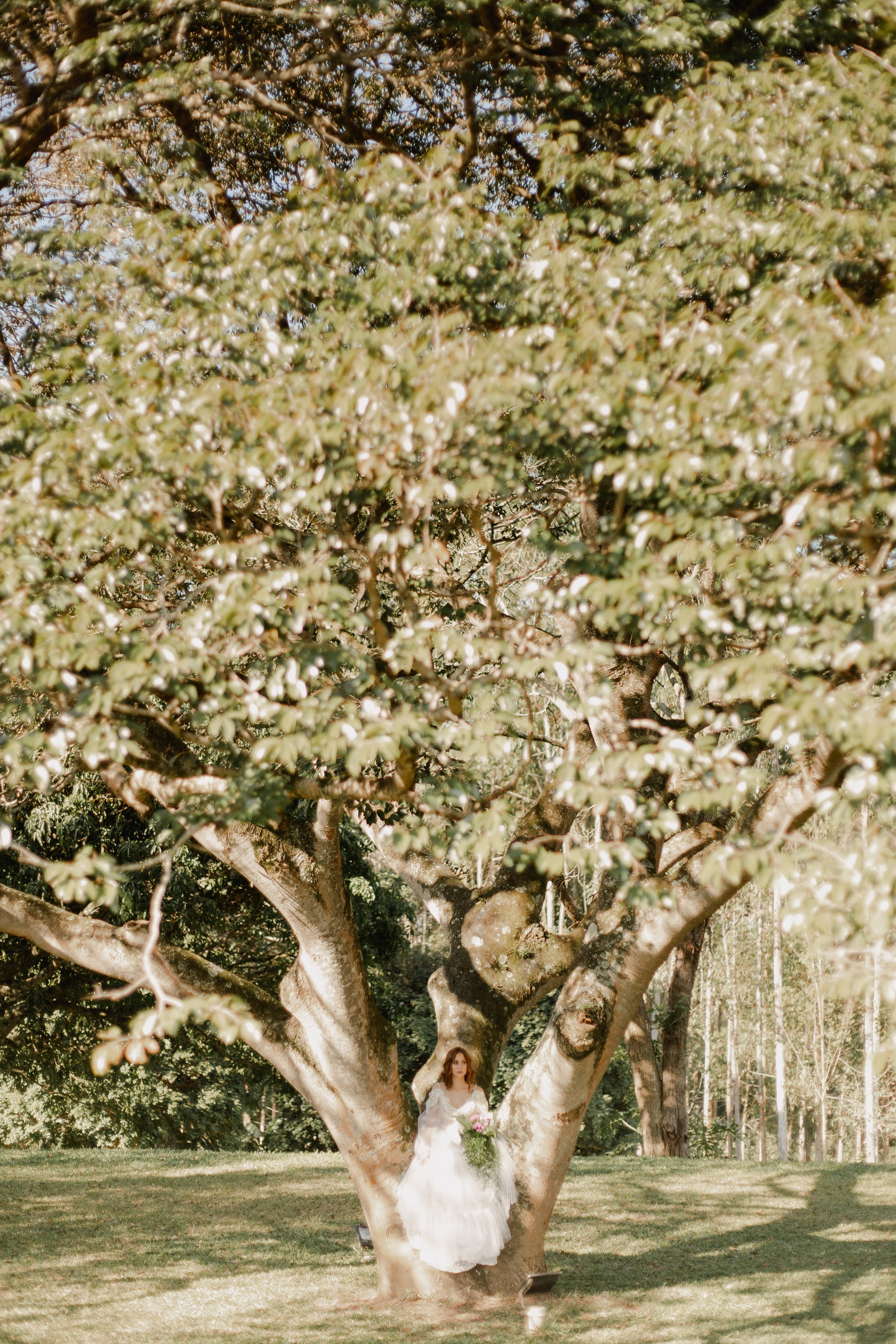 Editorial — Estância Jatobá