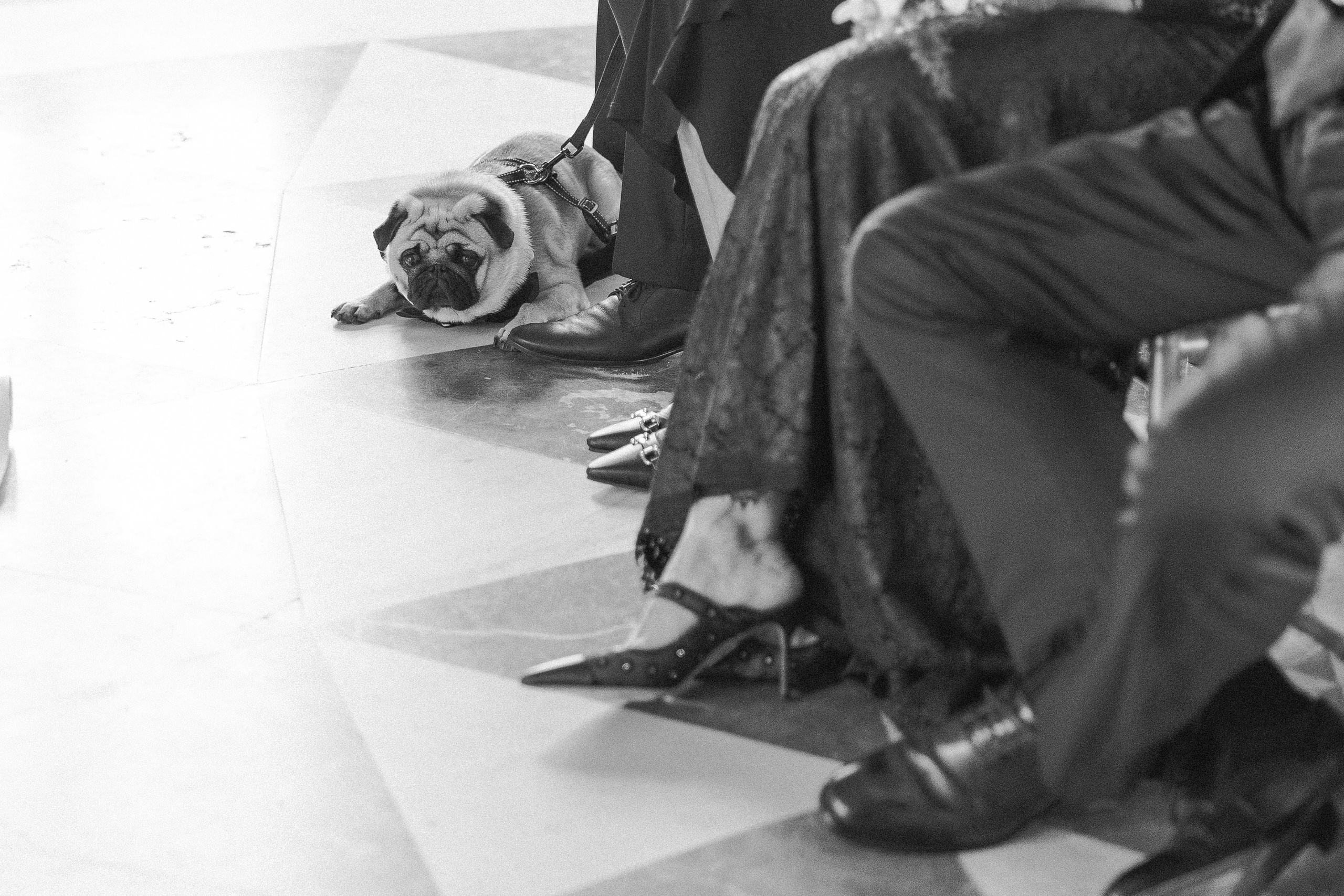 Wedding at Chateau Karlova Koruna