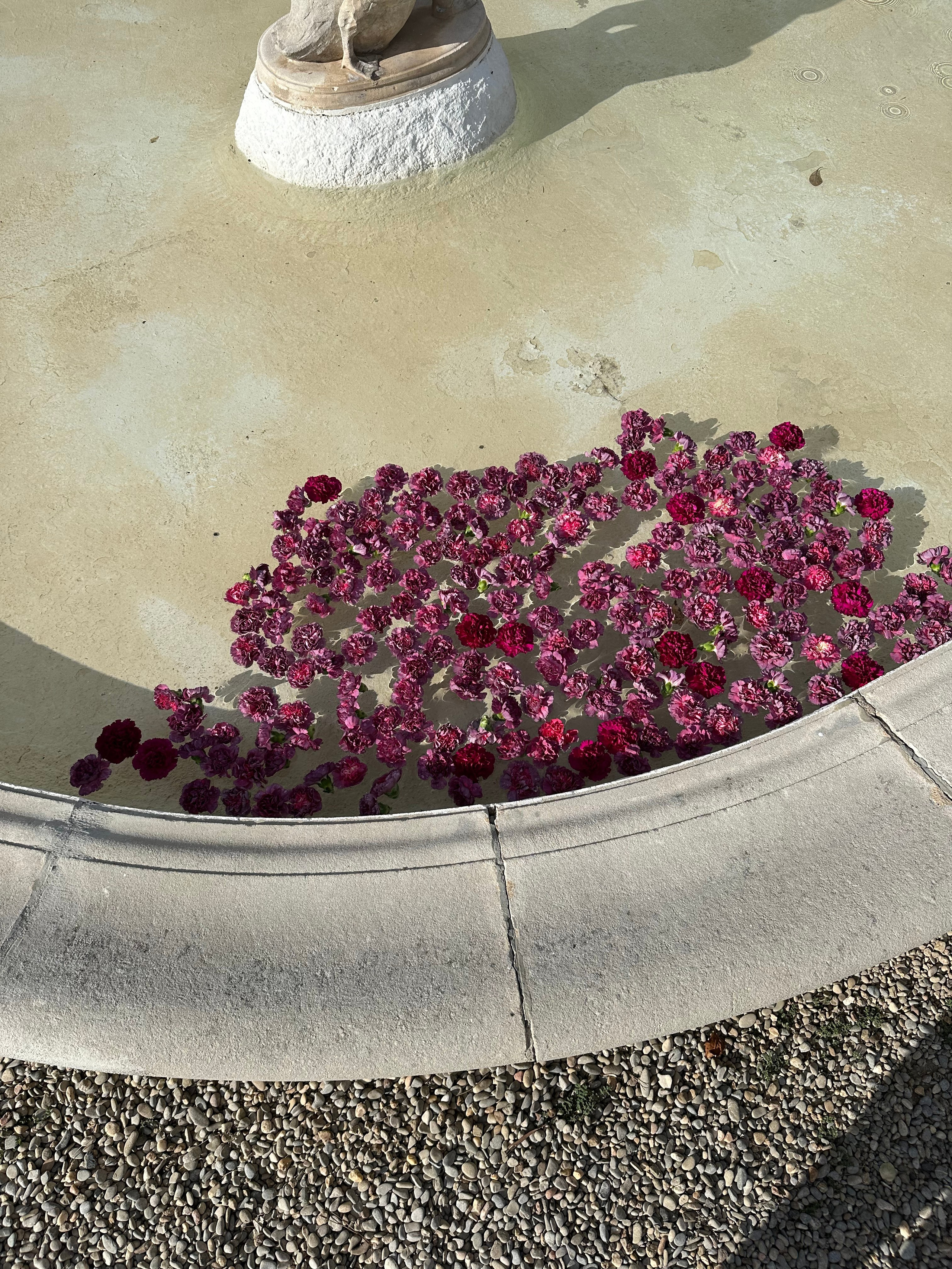 Boda Gemma & Lluís- Blumen by G