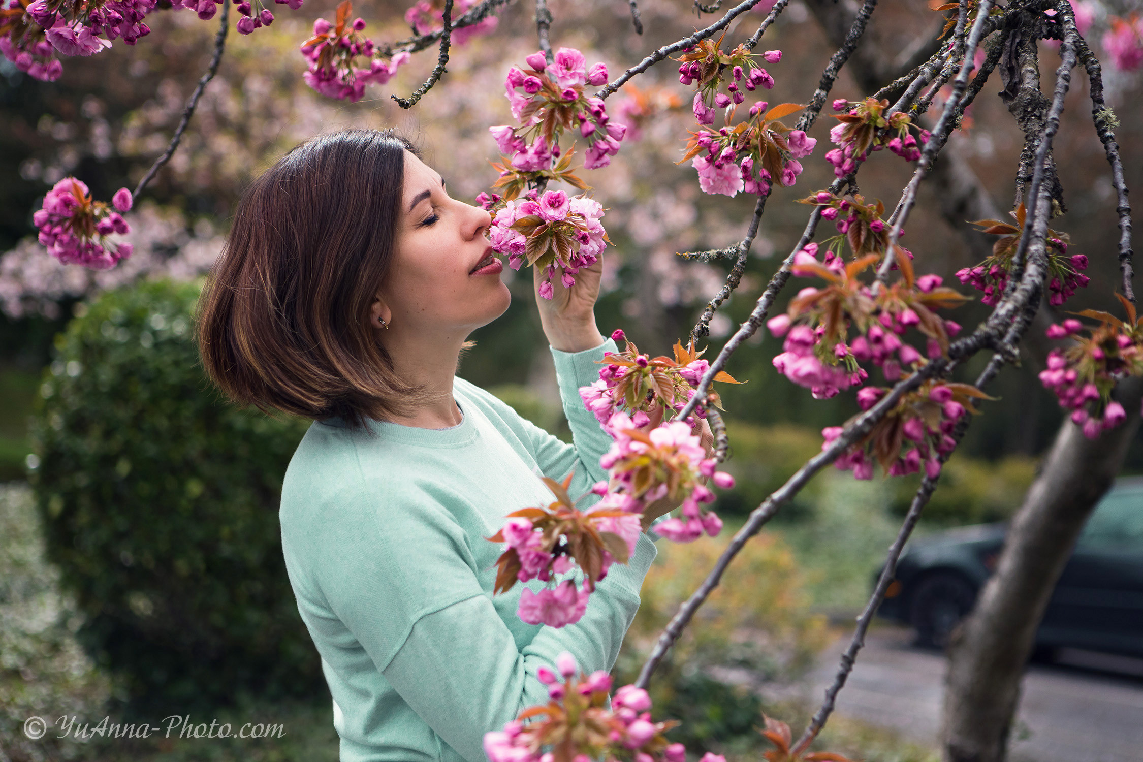 Cherry blossoms. YuAnna studio. Family & Kids Photographer in Seattle area, located in