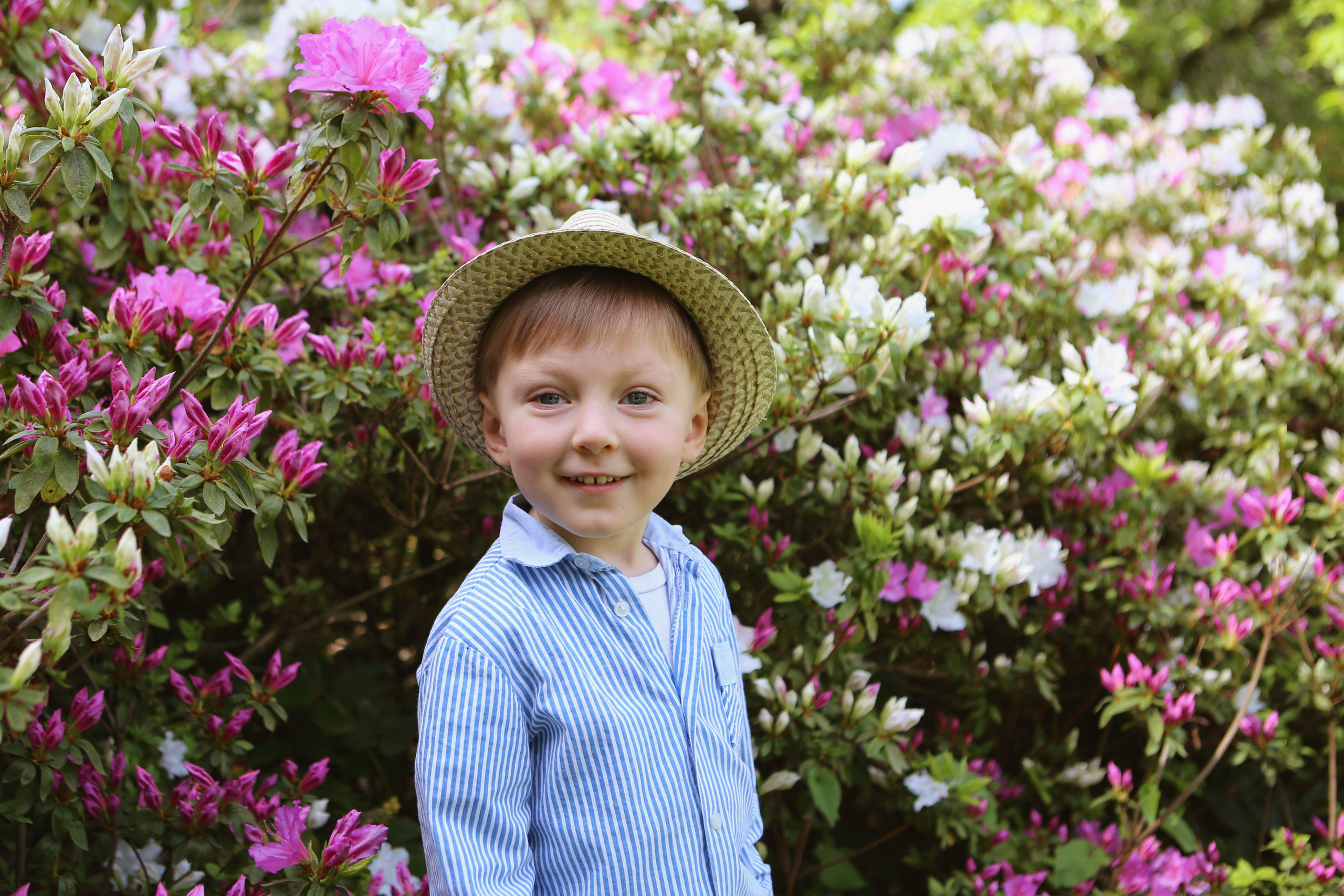 Spring. YuAnna studio. Family & Kids Photographer in Seattle area, located in