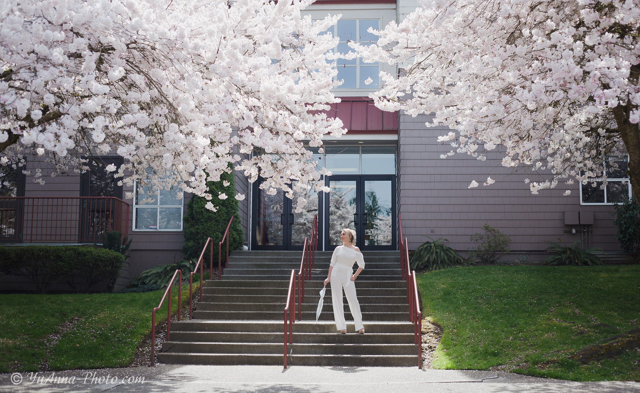 Cherry blossoms. YuAnna studio. Family & Kids Photographer in Seattle area, located in