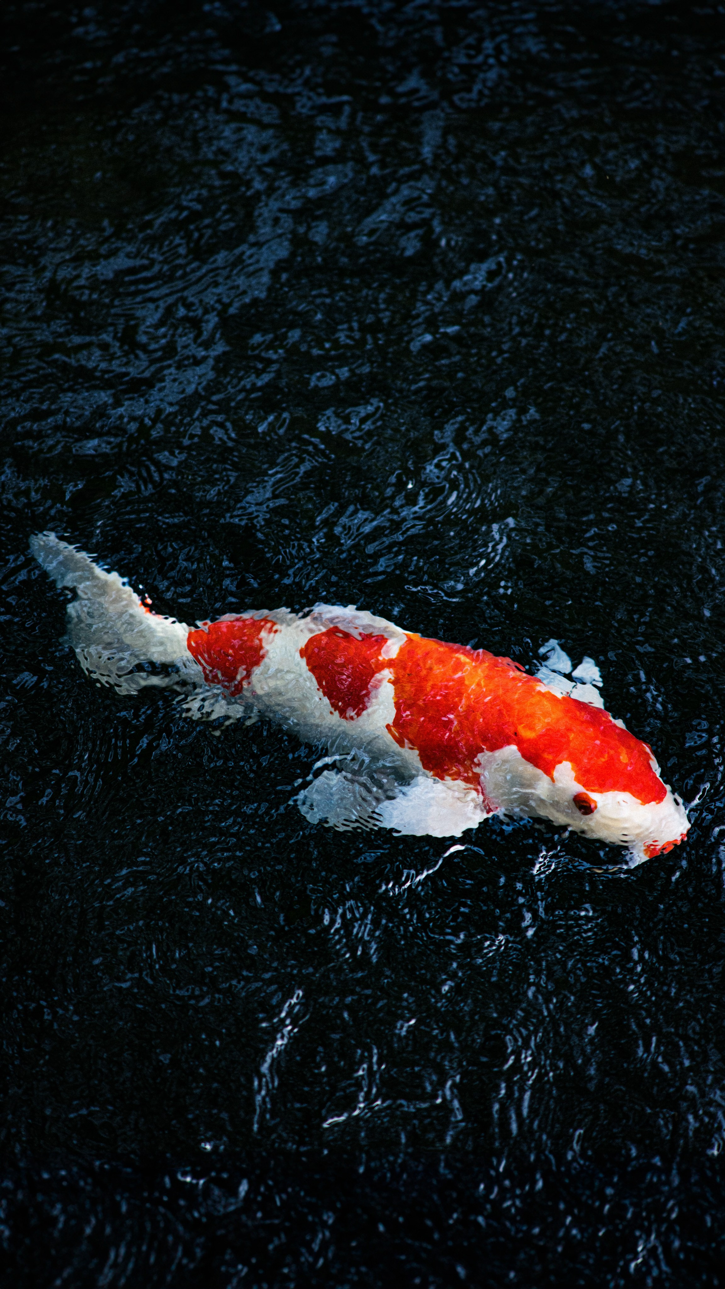 Japan. Artjom Kutuzov Photography