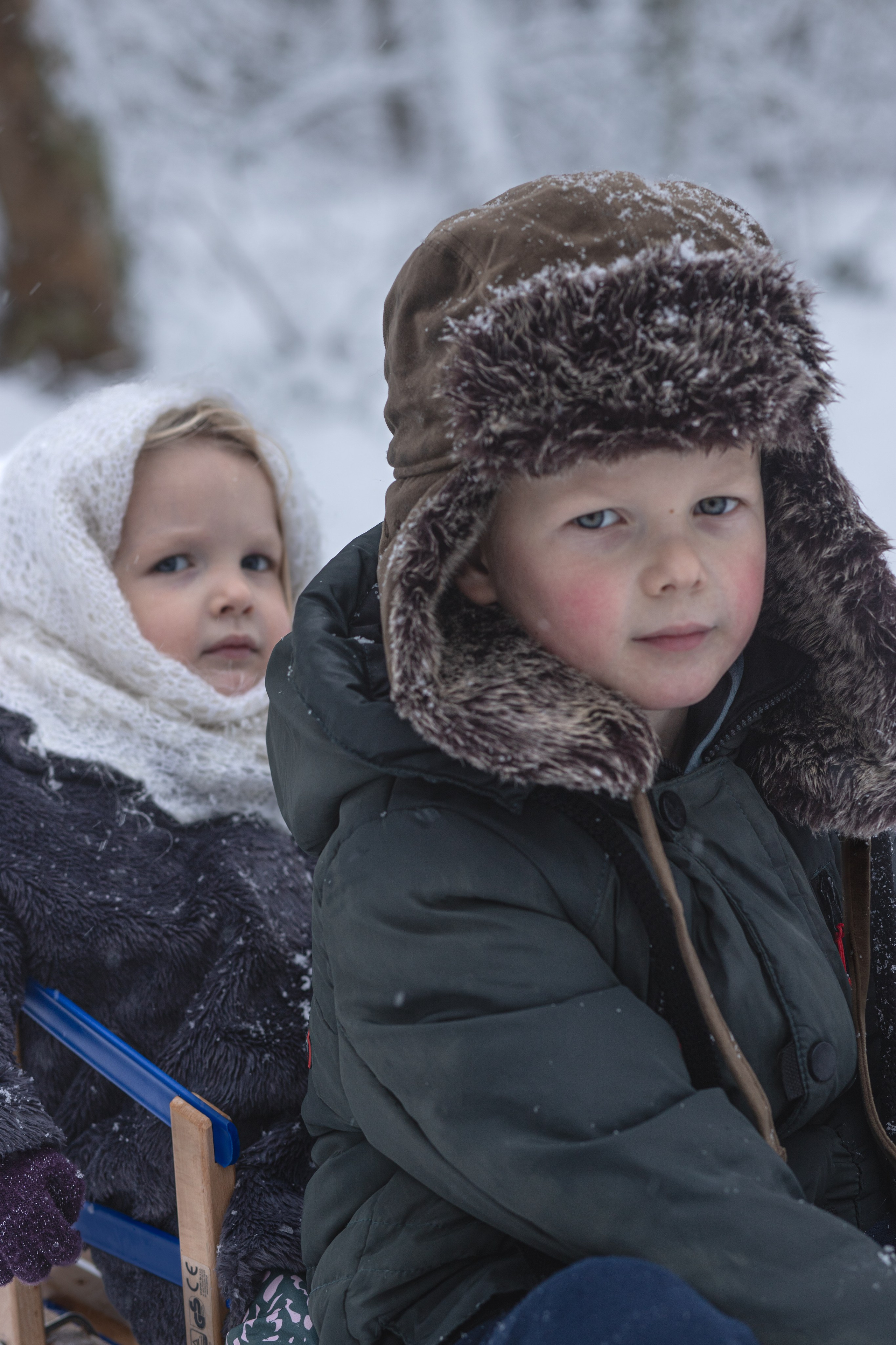 Ein Weihnachtsmärchen. Olena Fritz Fotografie