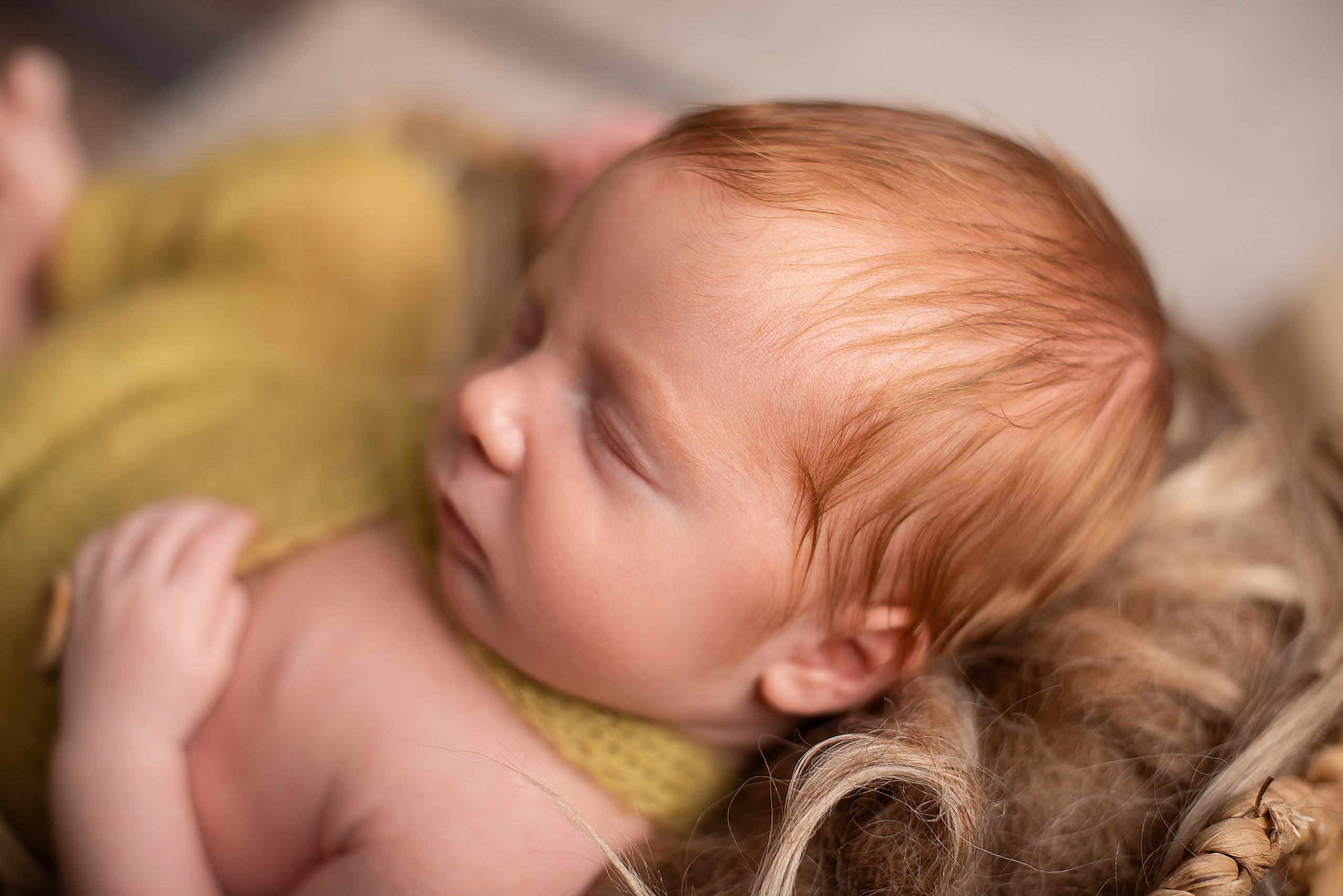 Weston, 16 days. Newborn, pregnancy, family photographer in New Jersey