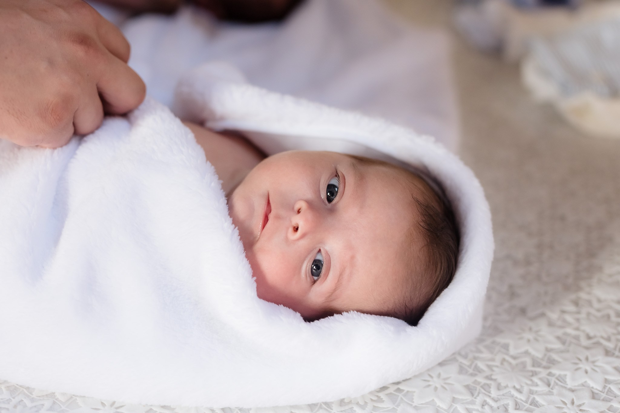 Gemenii Vlad & Damian | Berbesti