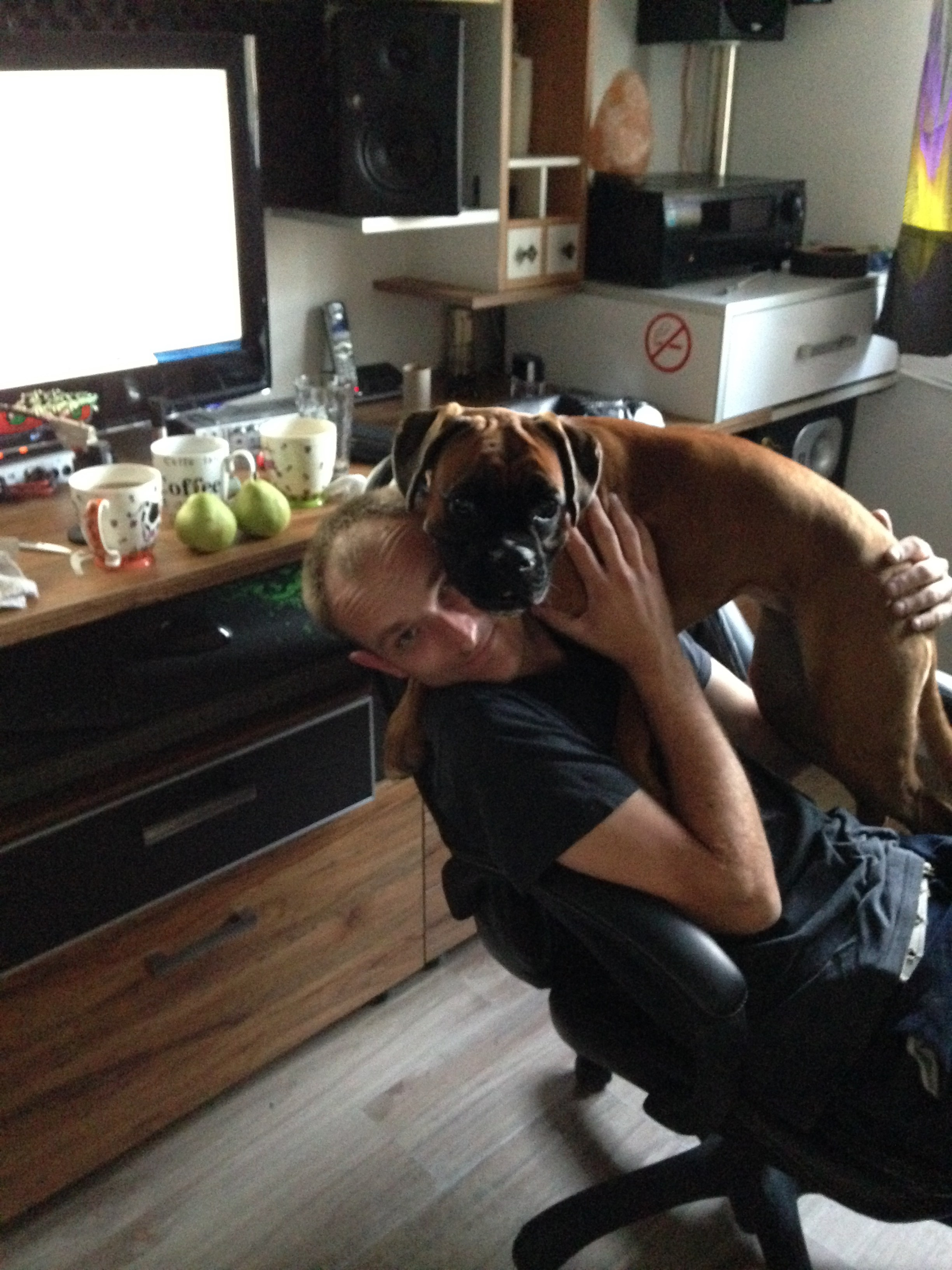 My ״Star״ Boxer Dog