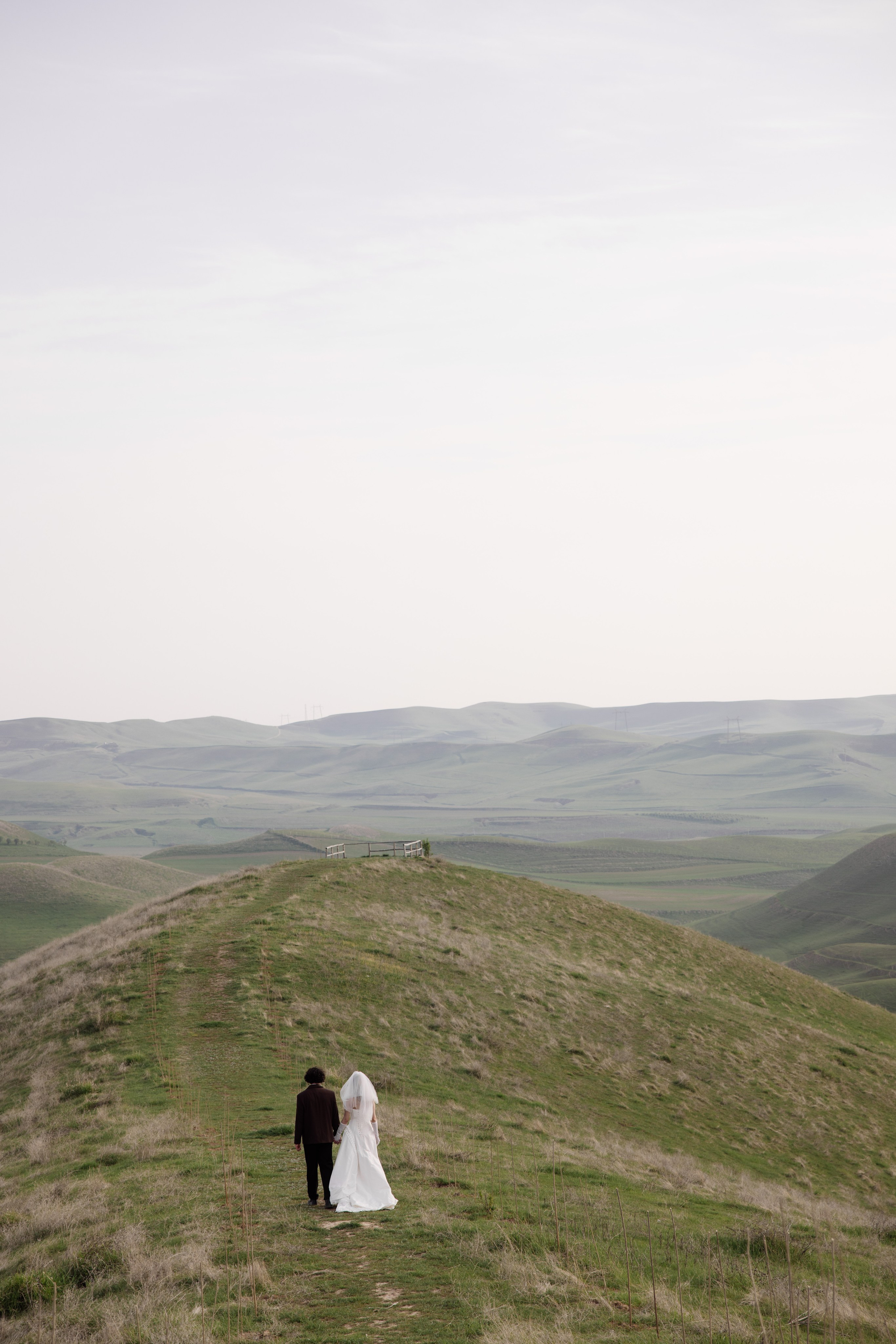 Свадьба 2026. Фотограф Вероника Яцына в Ташкенте