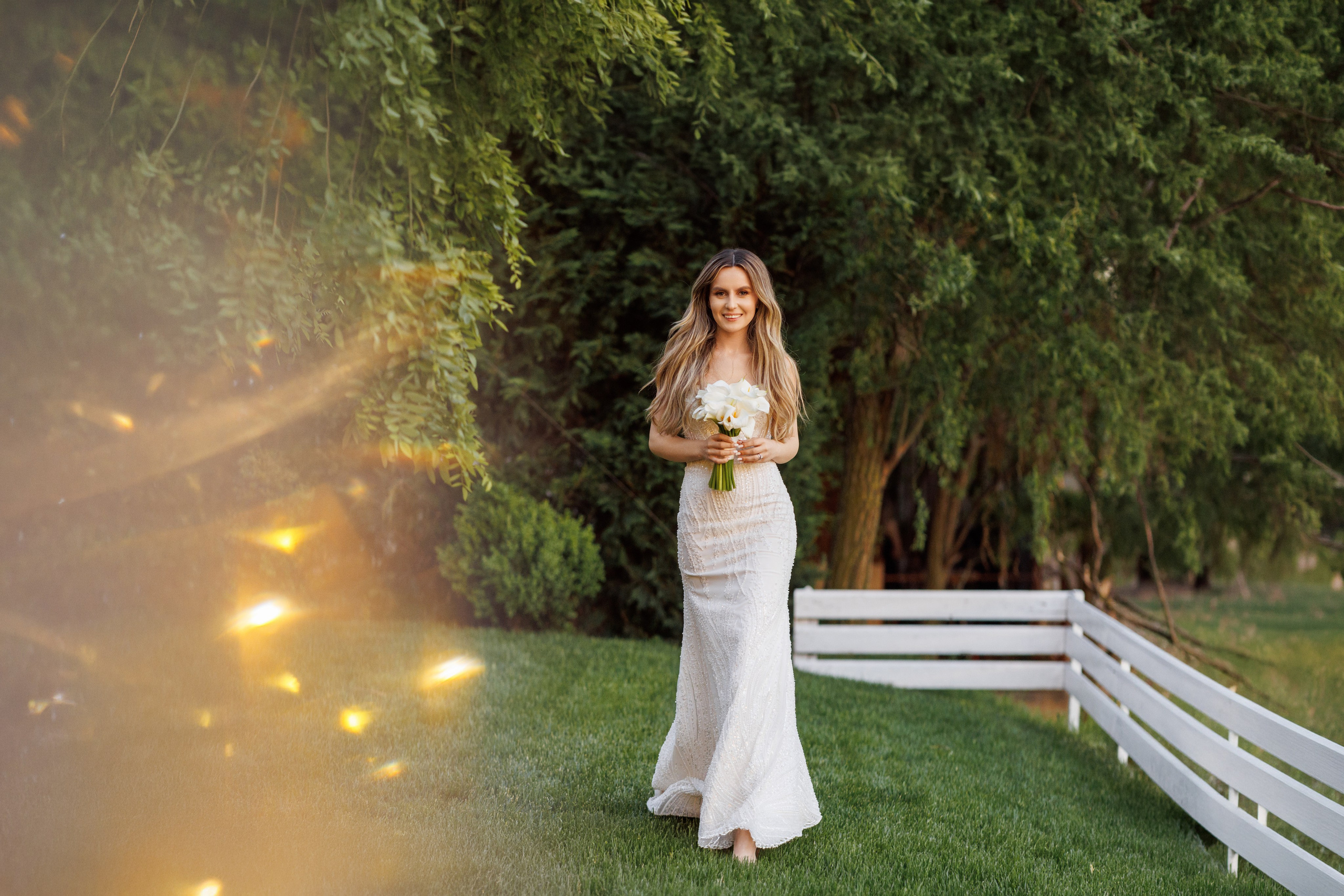 Wedding. Wedding, Family Photographer