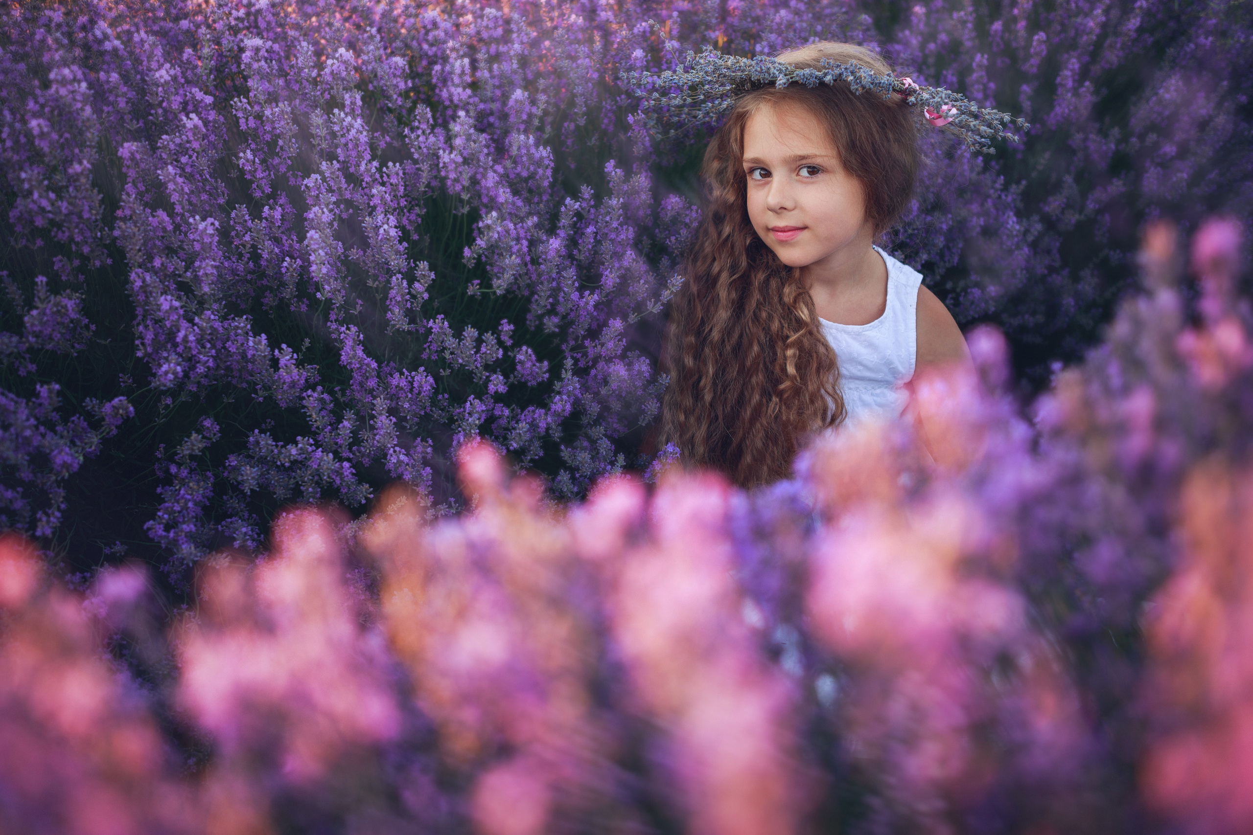 Portrait. Wedding, Family Photographer