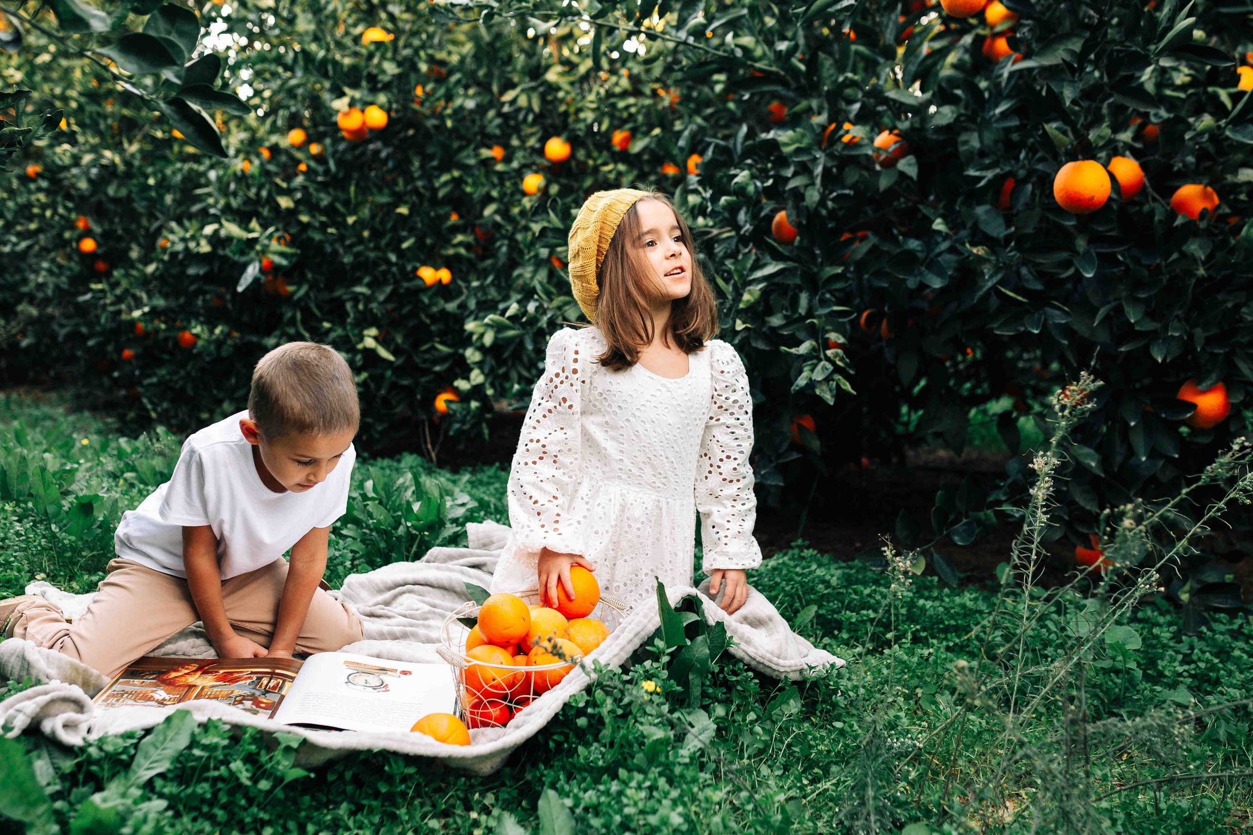 MANDARNINE GARDEN. Https://shi-photo.com/