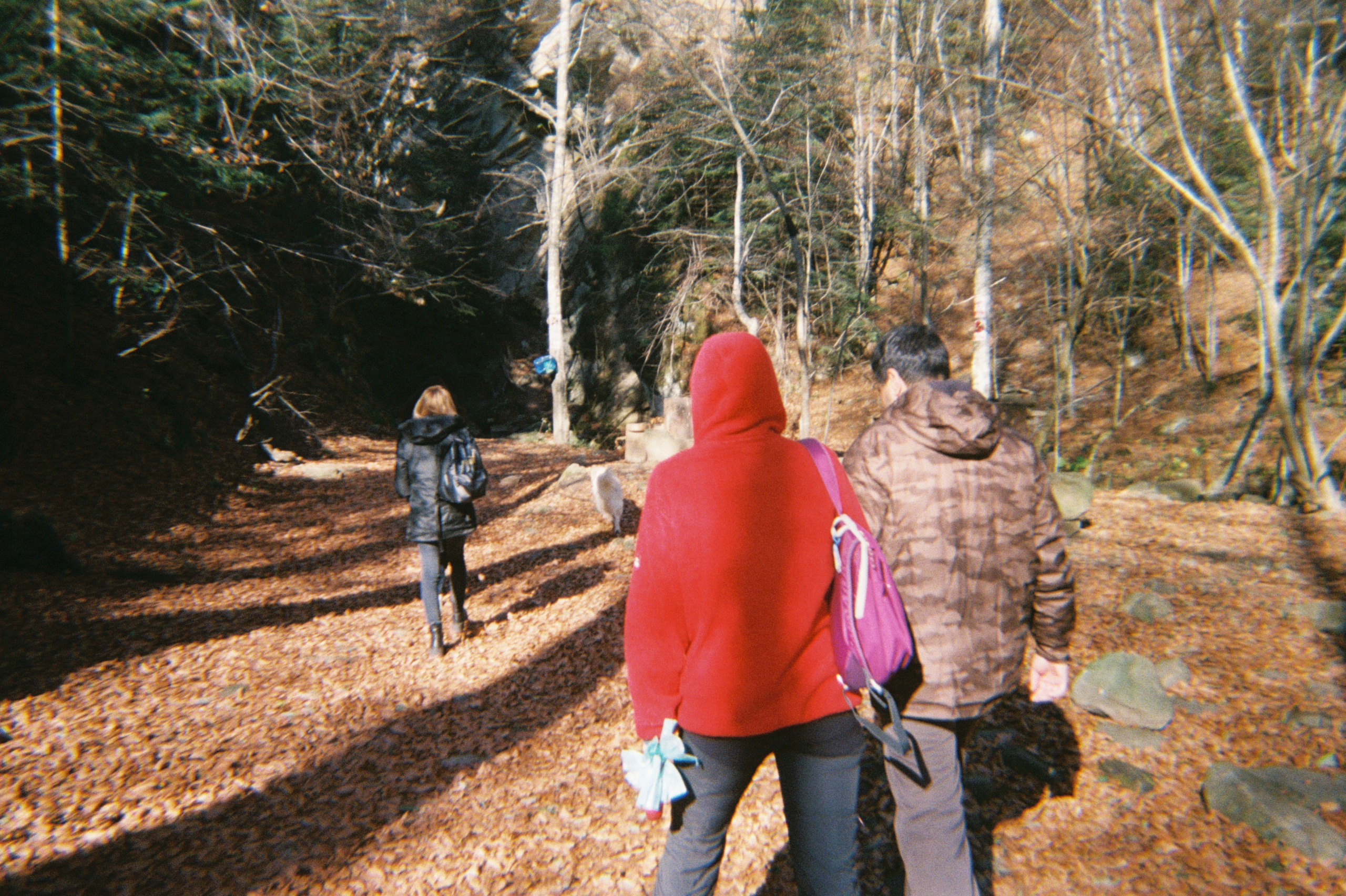 Teambuilding Digital Partners