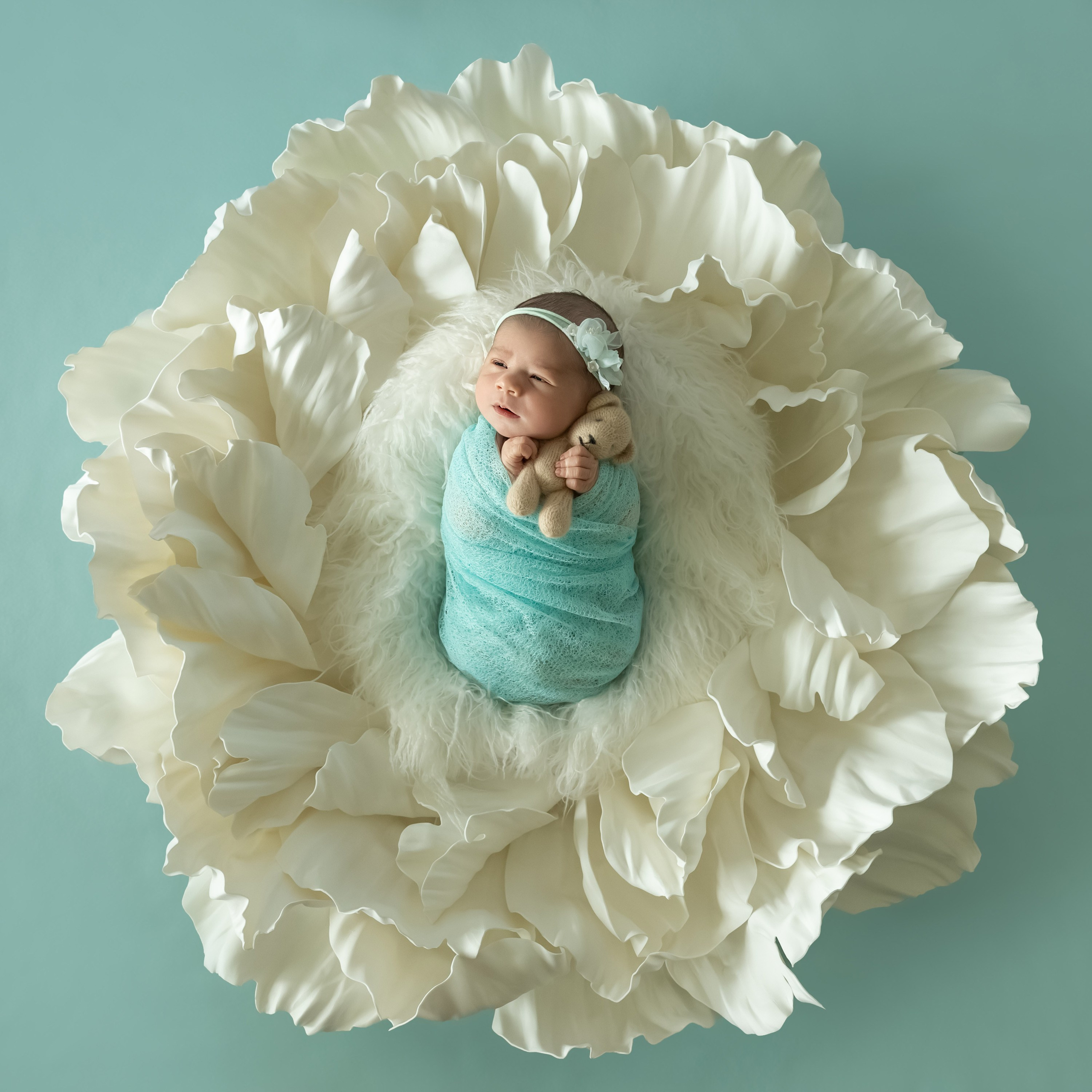 Newborn photos. Newborn photographer in Tampa Bay Area, FL