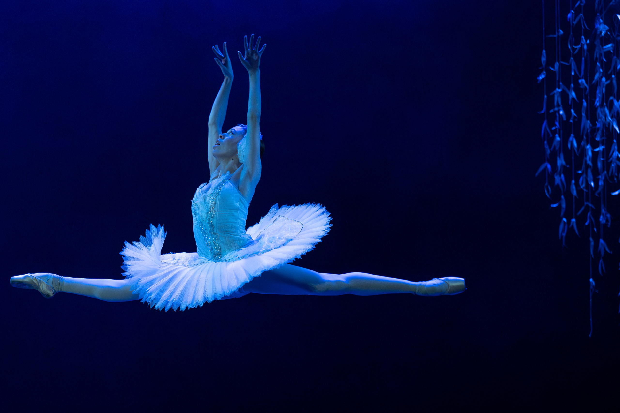 DANCE. ©2026 Adriano Escanhuela Photography
