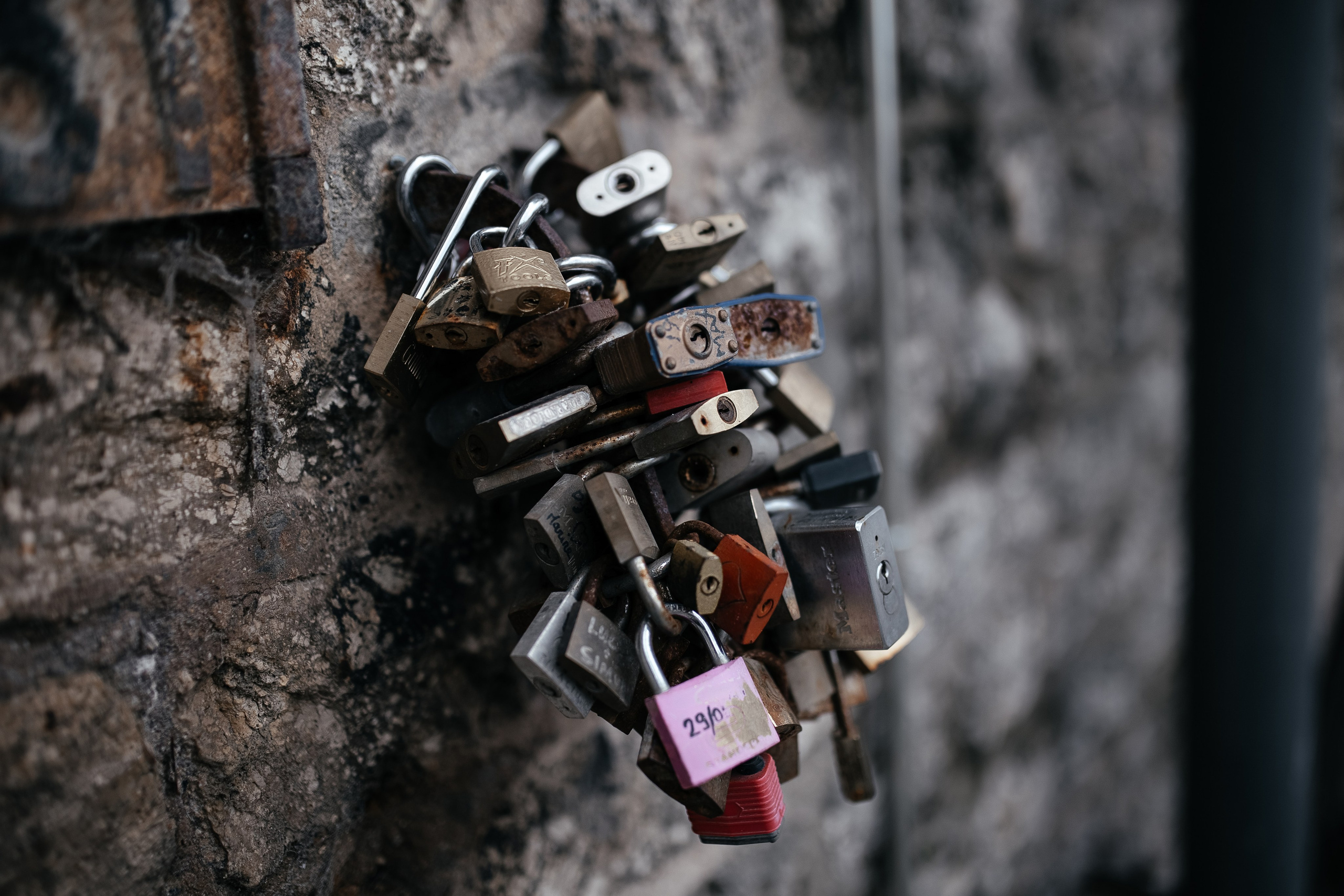 Elena & Sergey. Familien-, Hochzeits- und Newbornfotografin Neustadt an der Weinstraße