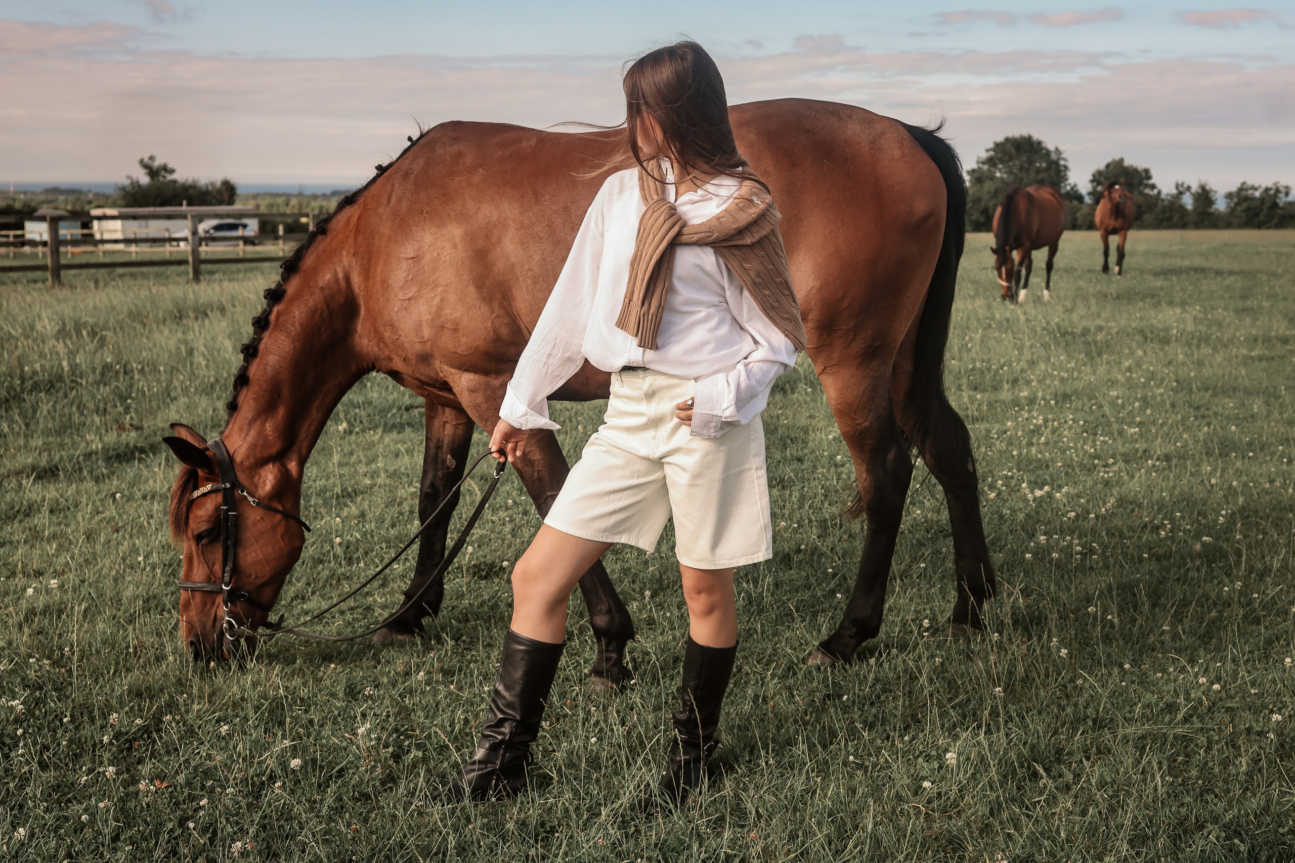 Among the Horses. Photographer Co Dublin, Balbriggan — Agata Maliseva