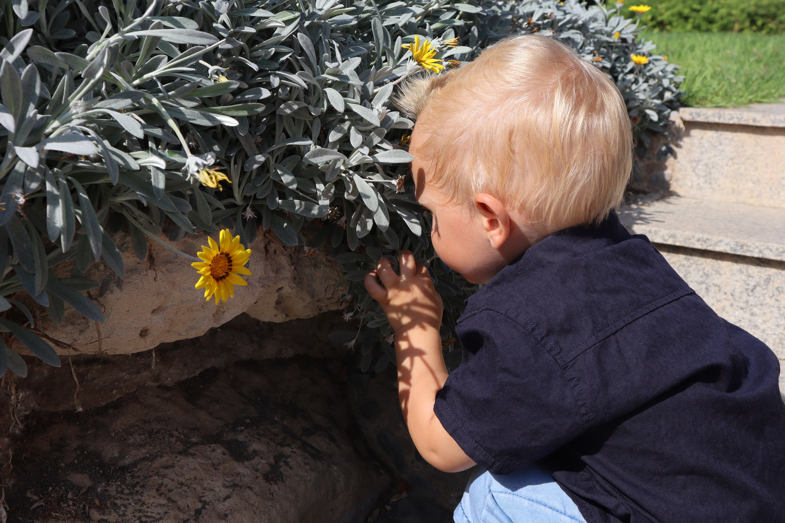 Услуги. Travel photographer Ksenia