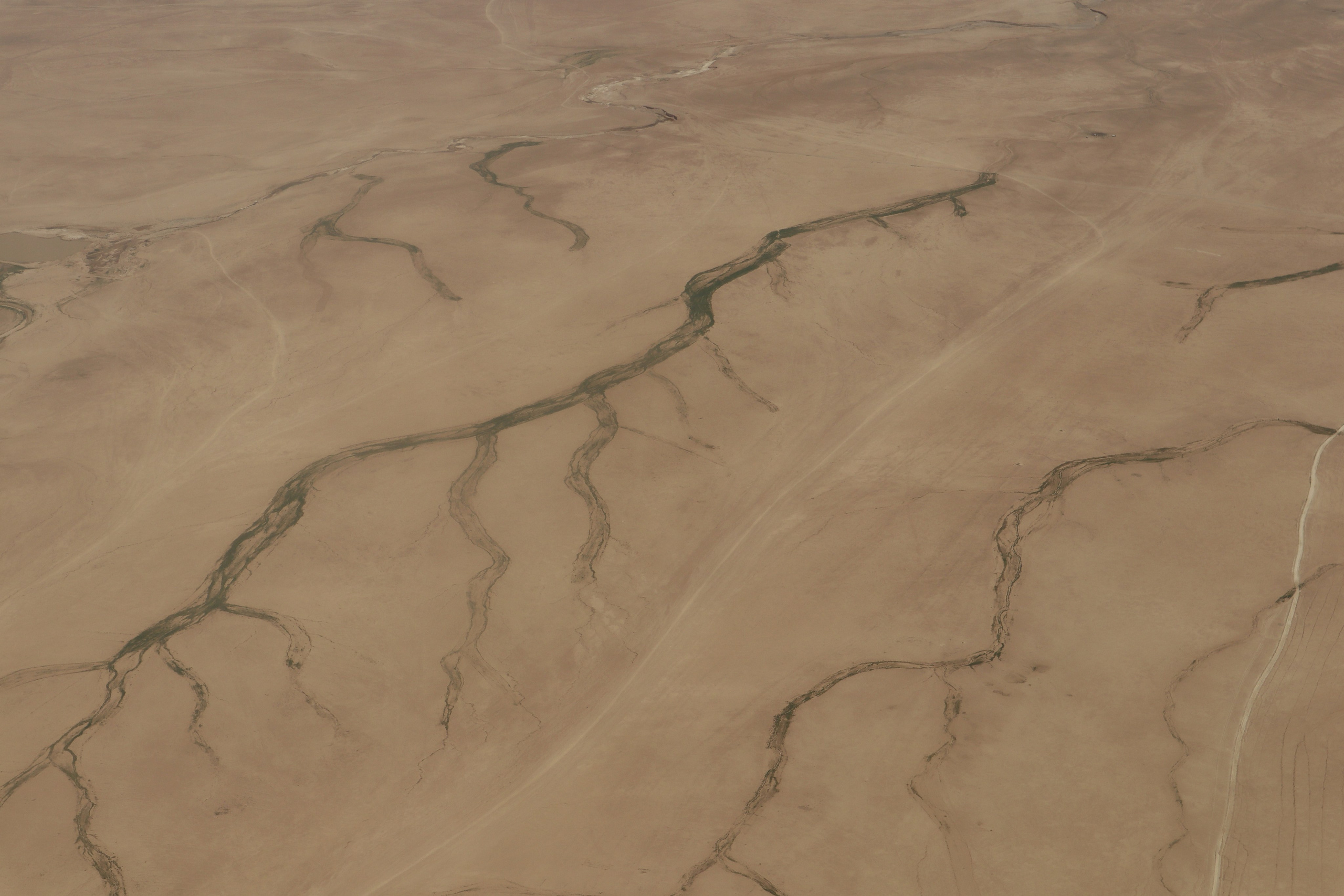 Сирийская пустыня, Иордания, 2023г