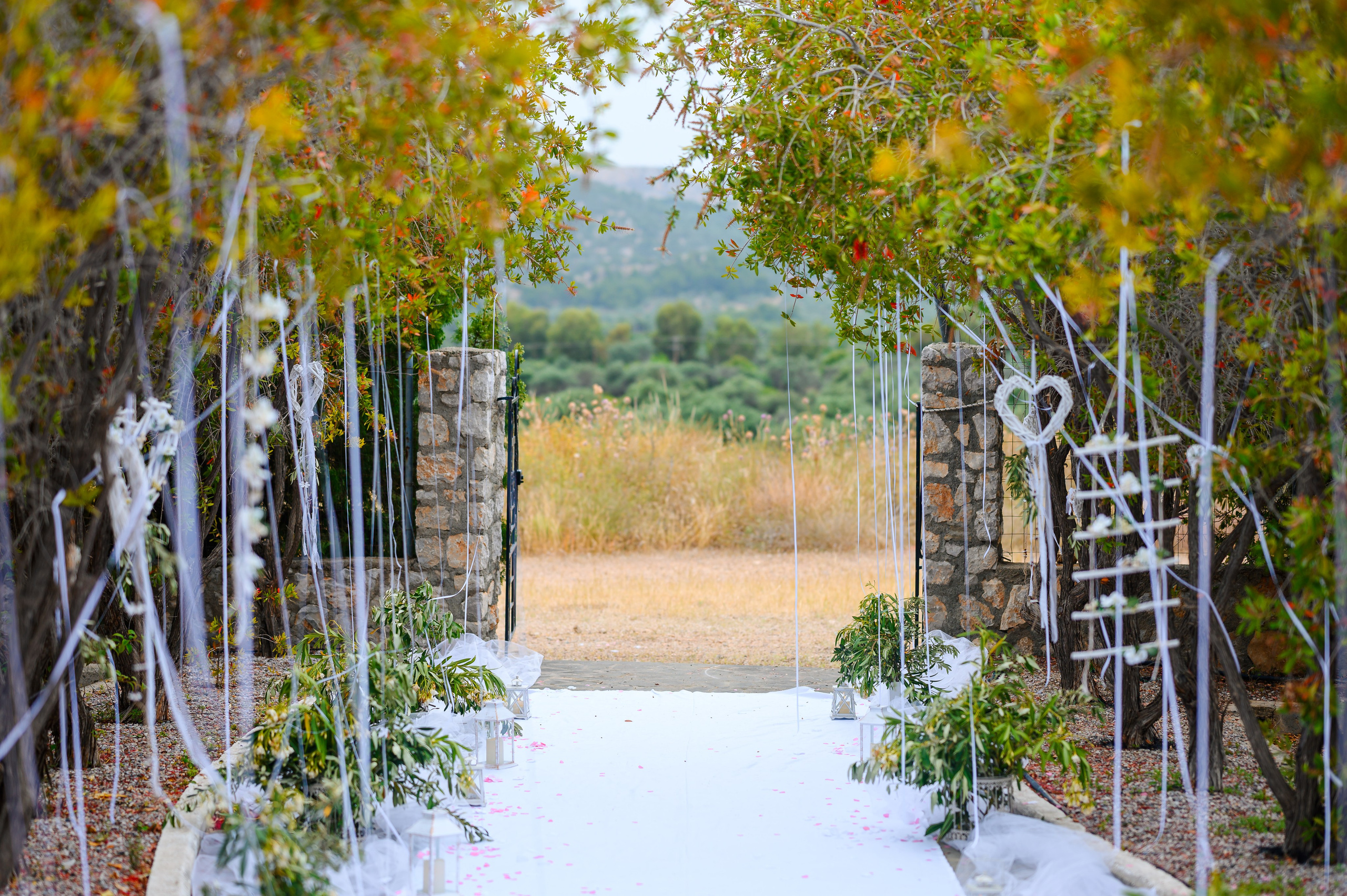 Felicia & Vitalie. Mugurel Olteanu Fotograf