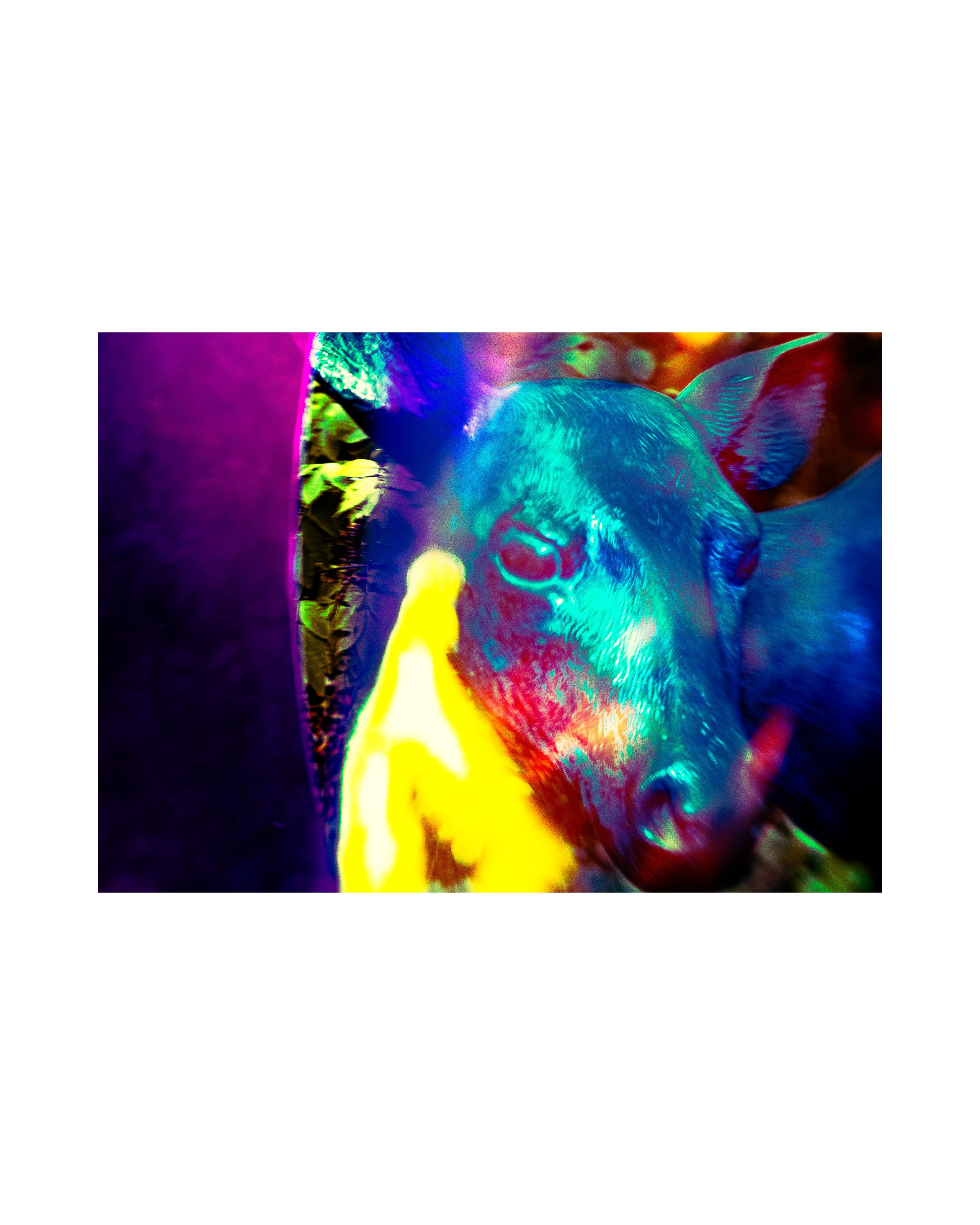 Street from Exaggerated Worlds. Ekaterina Tsurkina-Appina Photography Canada