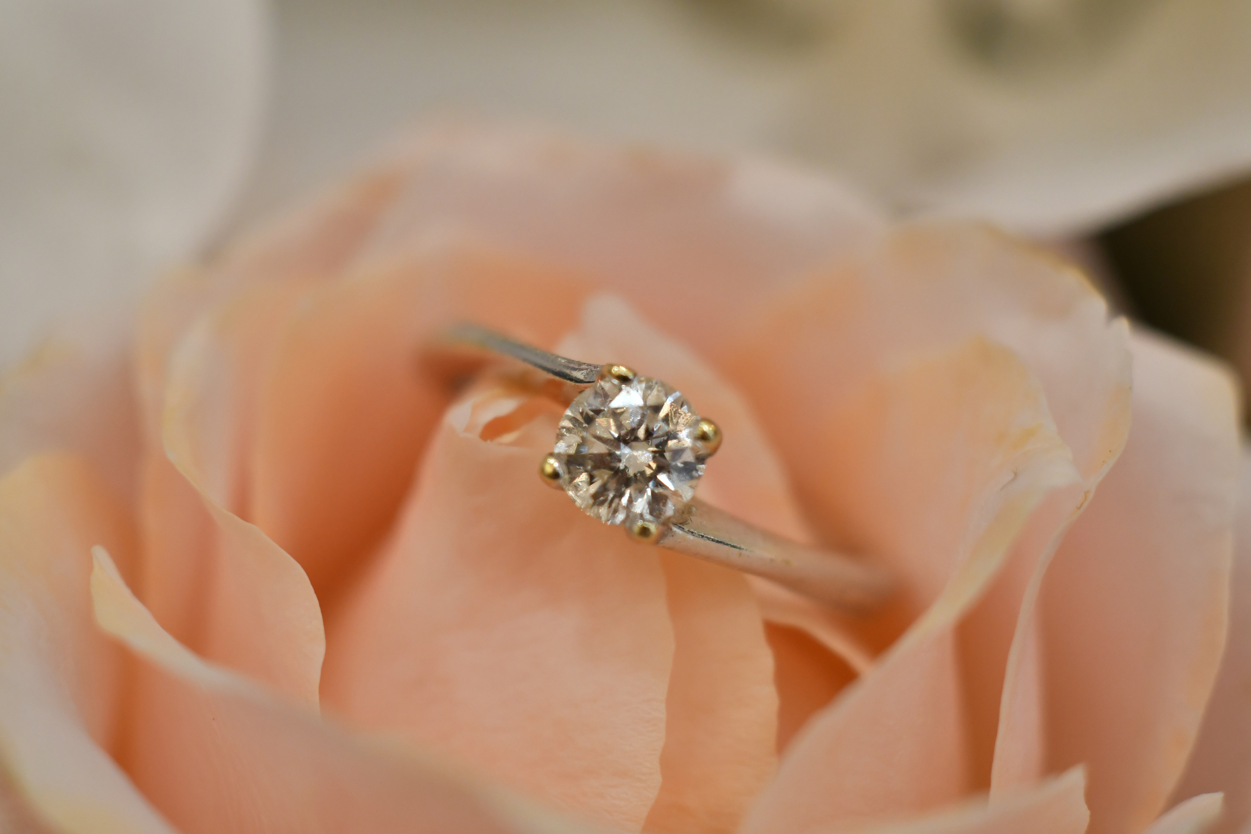 Efrat & Yosef. Wedding and events photographers Studio Shalom