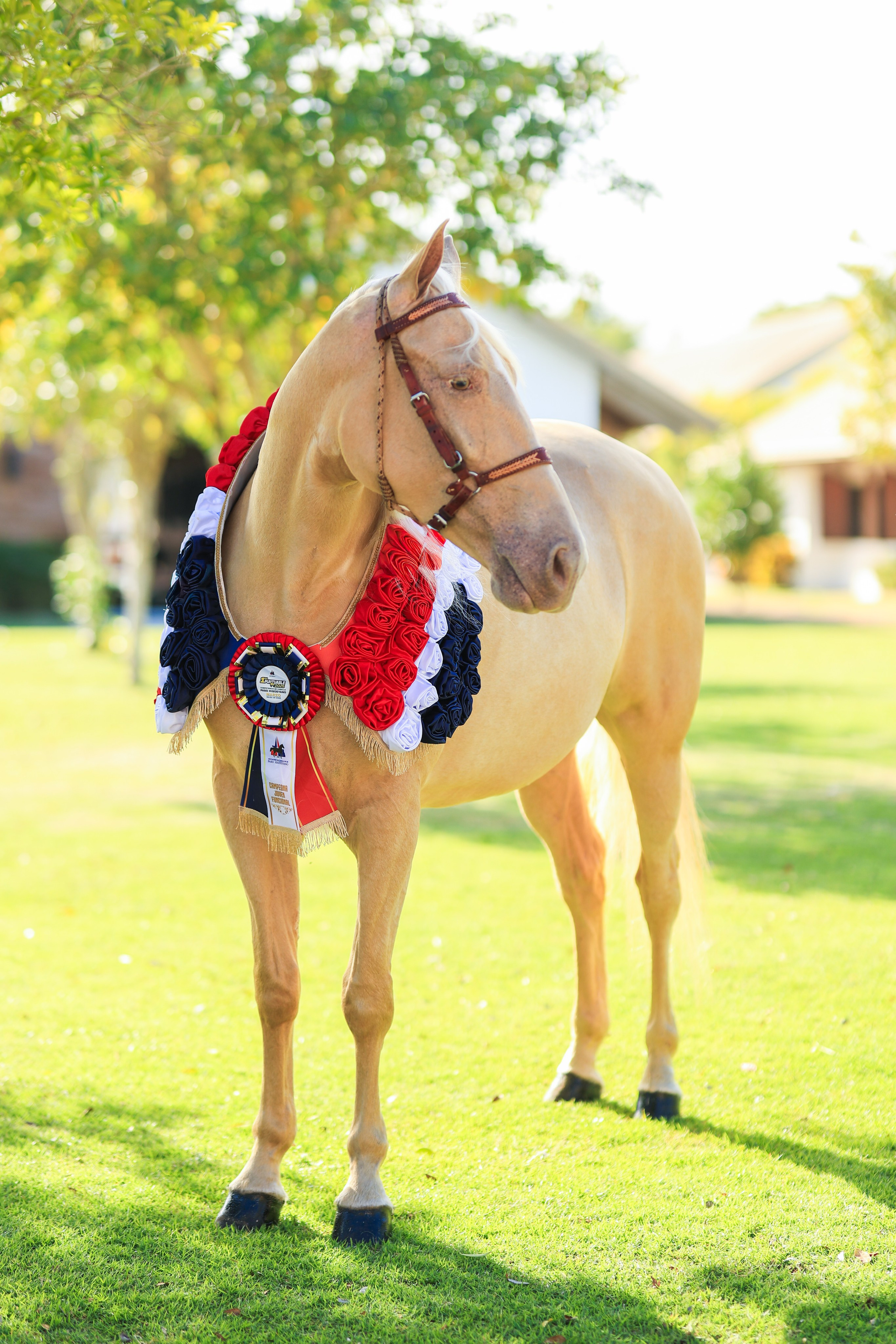 Criadero AC - Documental. VisualAvalon