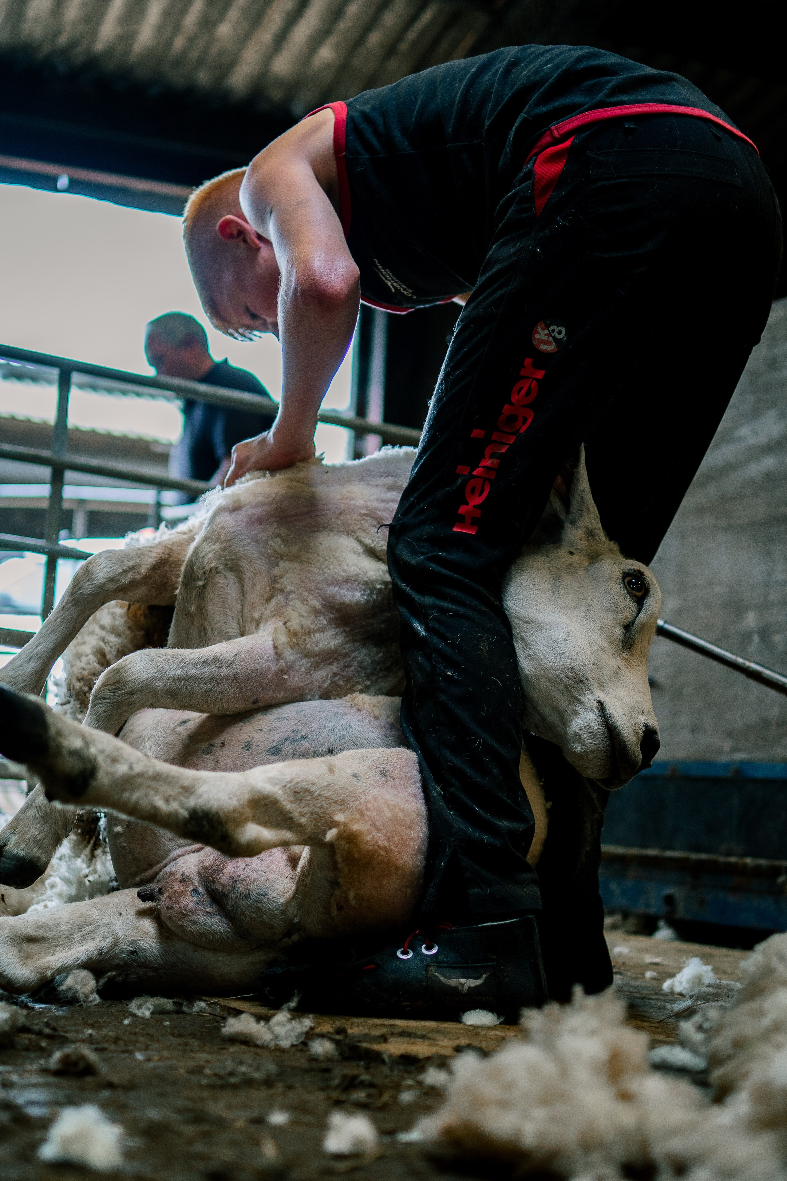 Farm Life. Ryan Hewitt Photographer