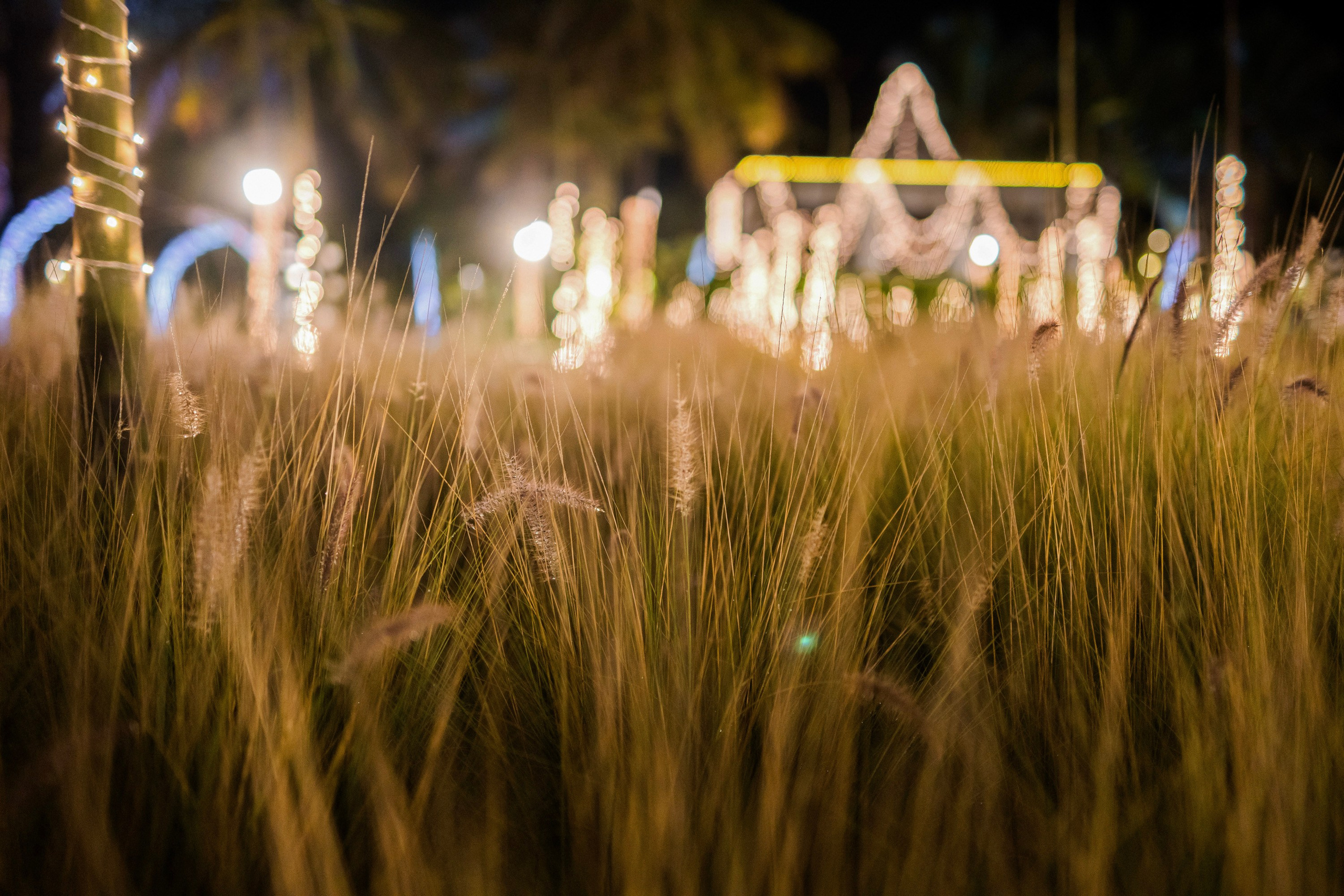 Sivatmika & Vinay, Wedding at Amitarasa, Nandi Hills | Truly Yours