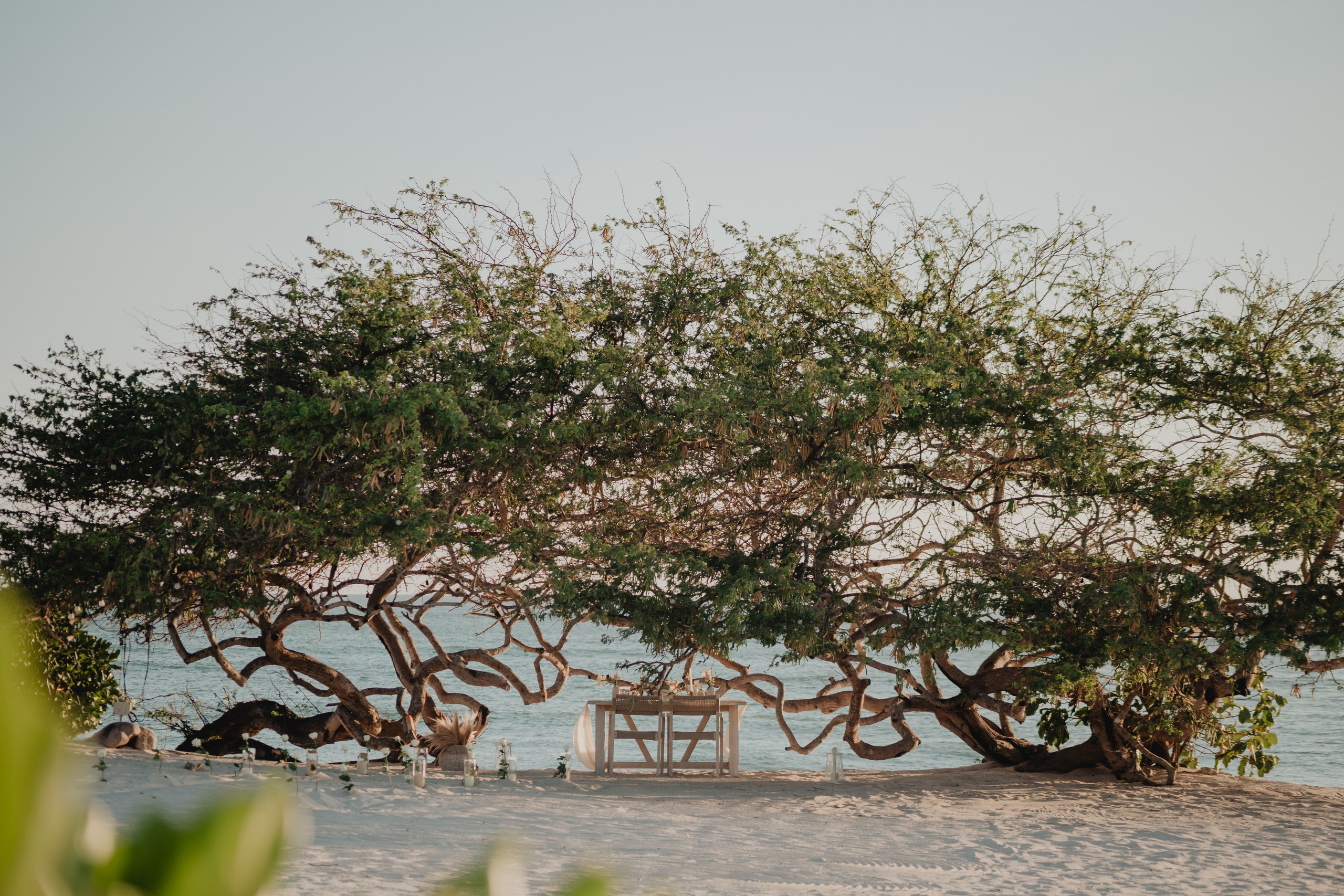 Punta Mita Engagement Session: Love Framed by the Pacific