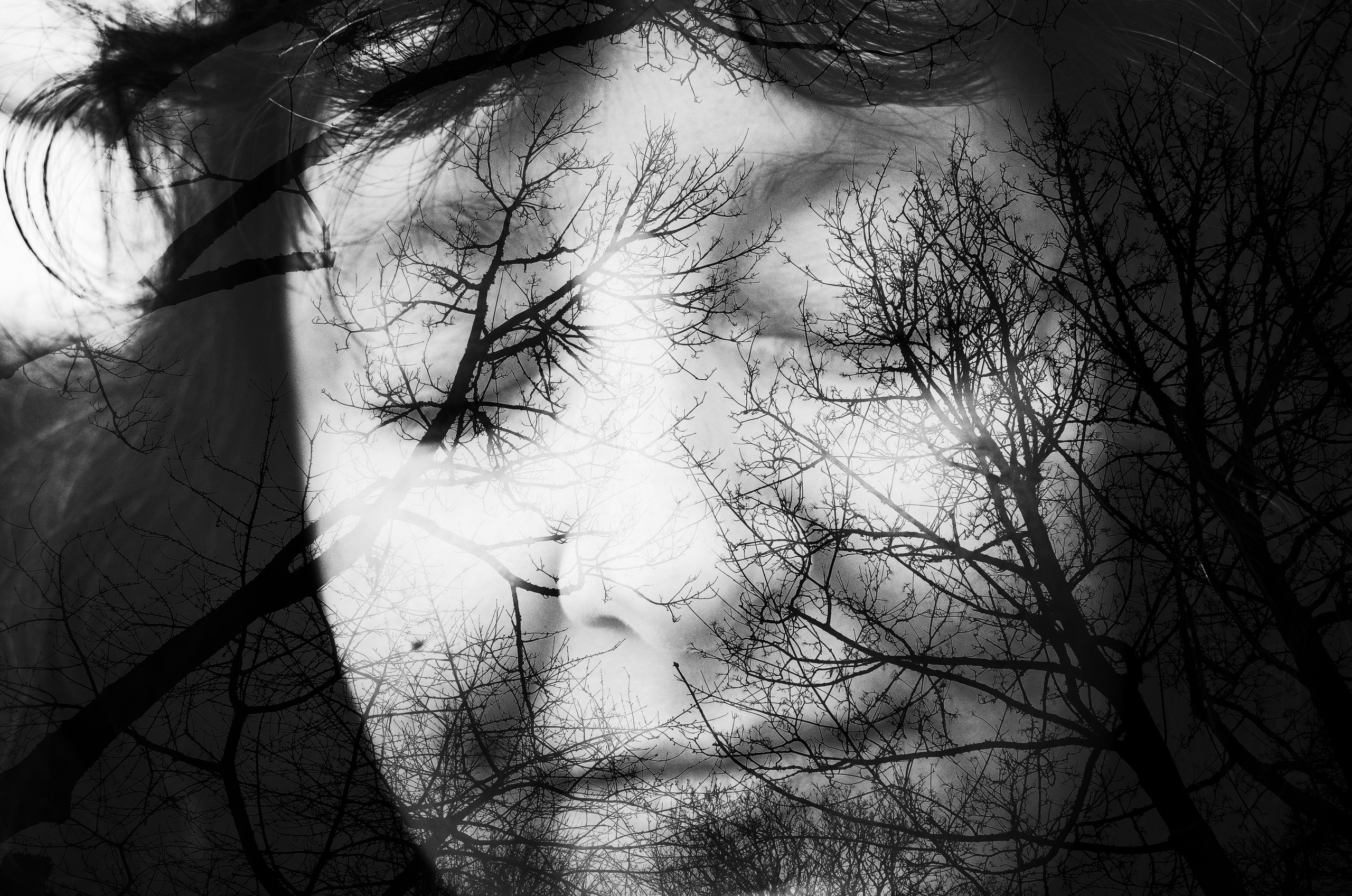Victoria Dini Photography
