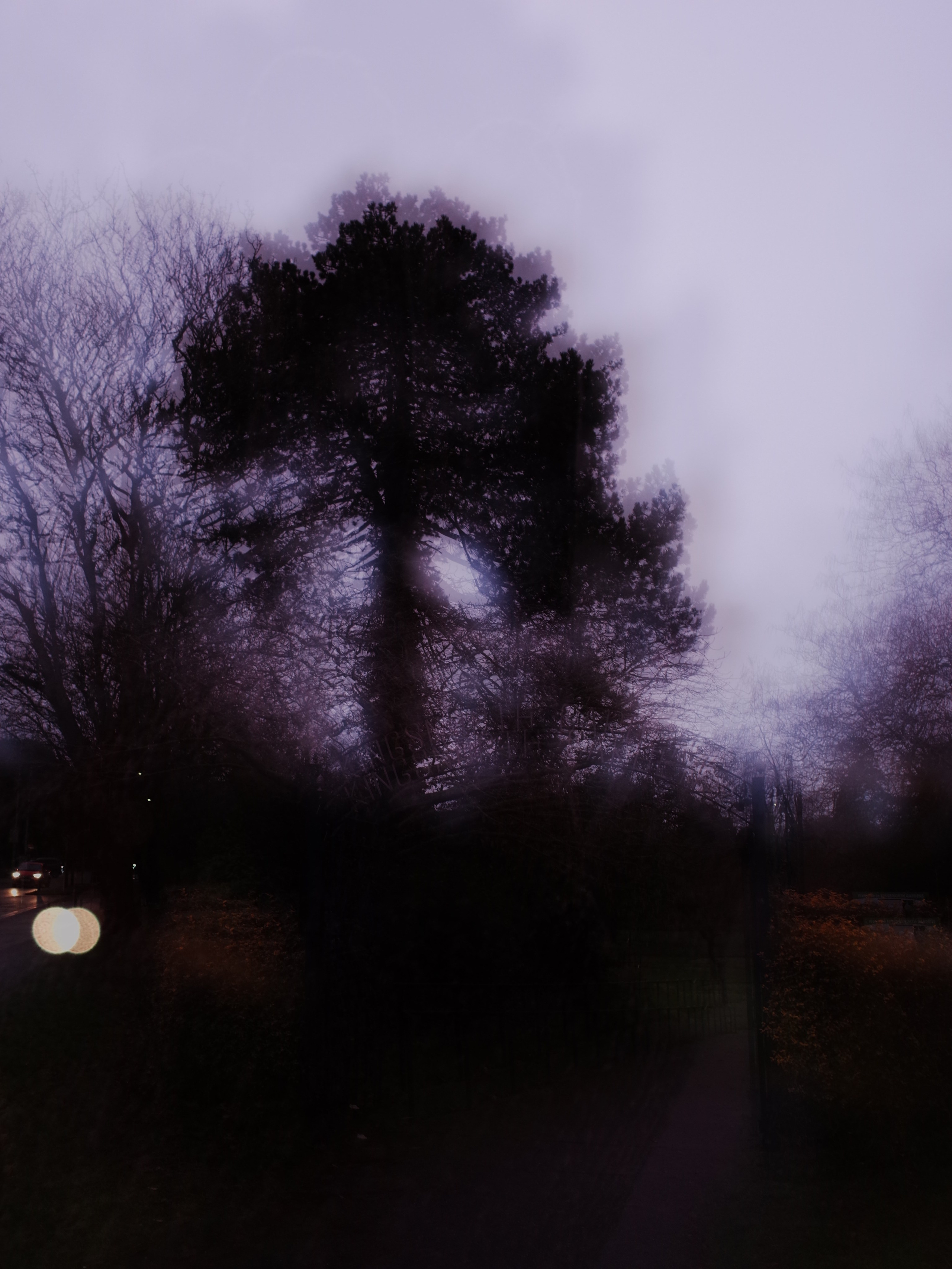 Victoria Dini Photography
