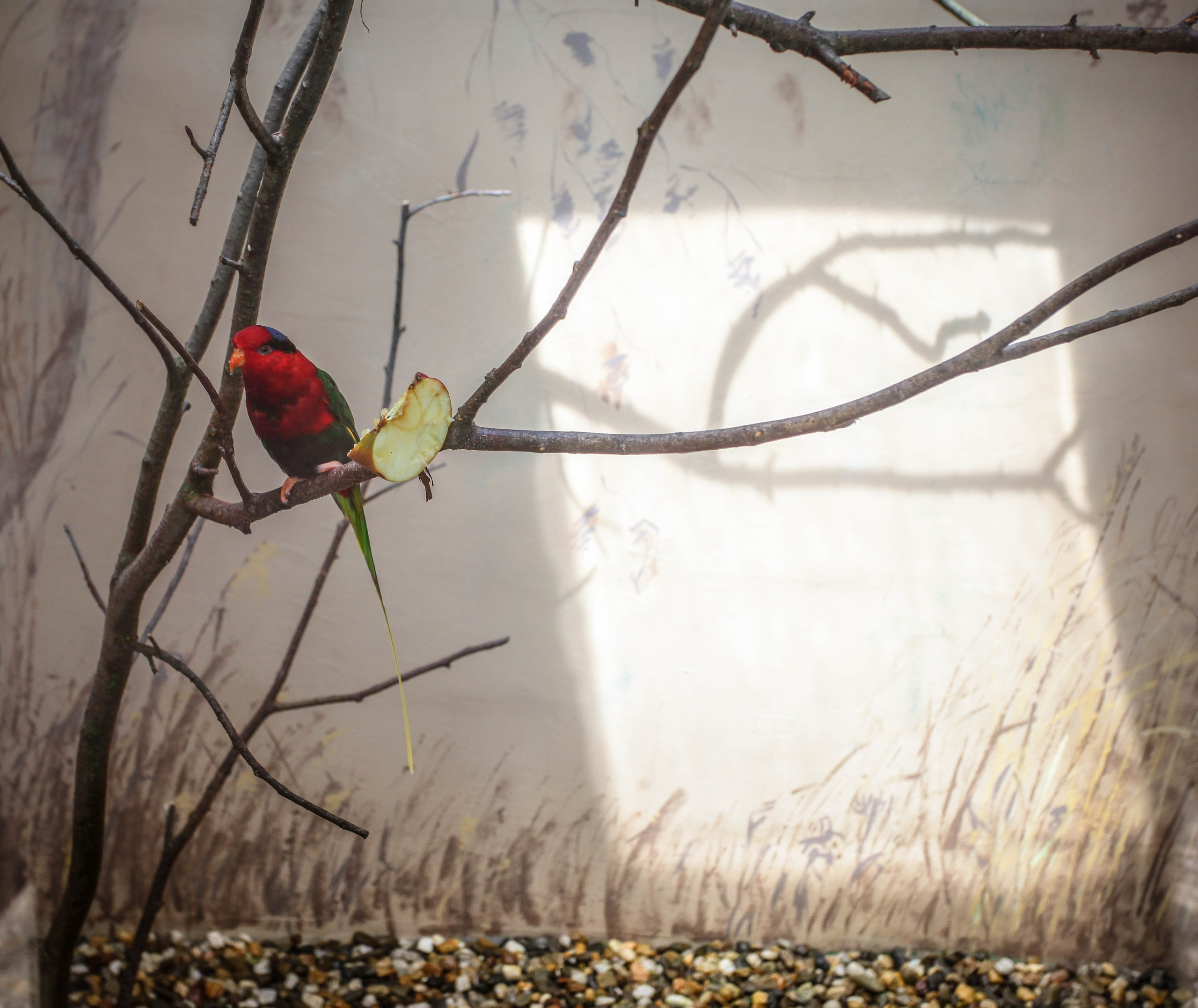 ЧЕХИЯ. Стрит-фотография, полная абсурда, идиотизма и красоты