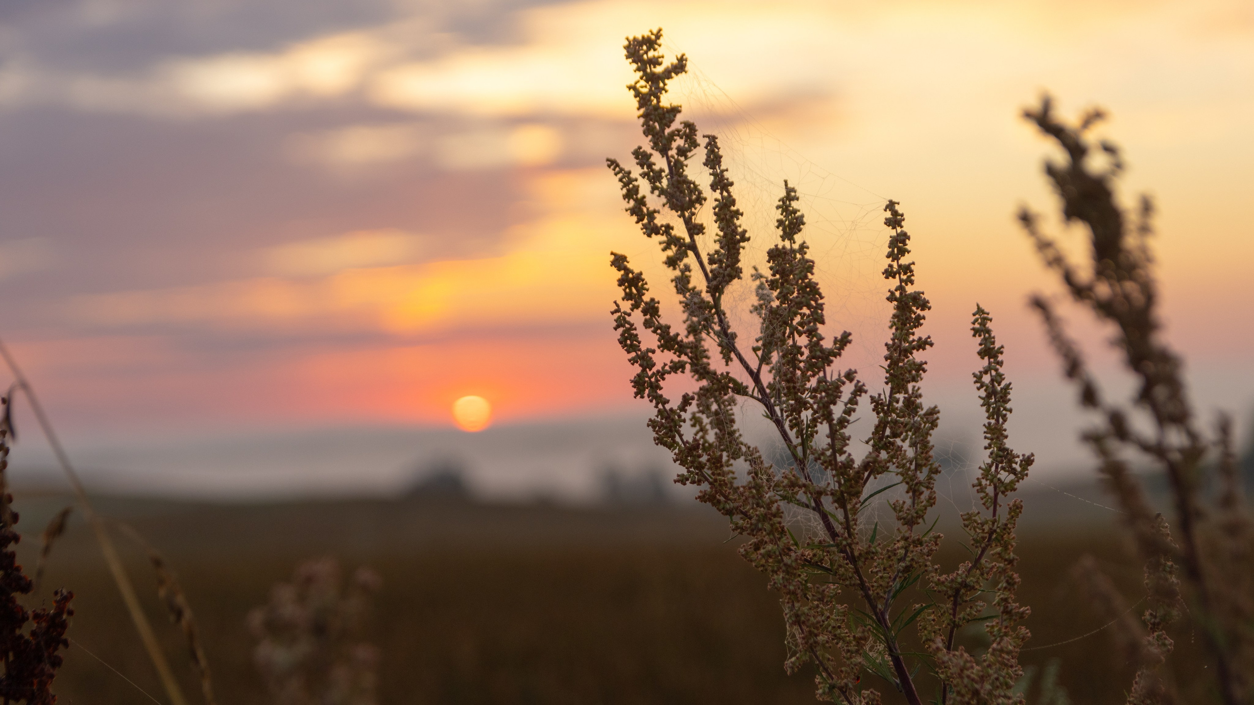Landscape. Portrait and Street photographer in Vilnius Edgar Shaipunas